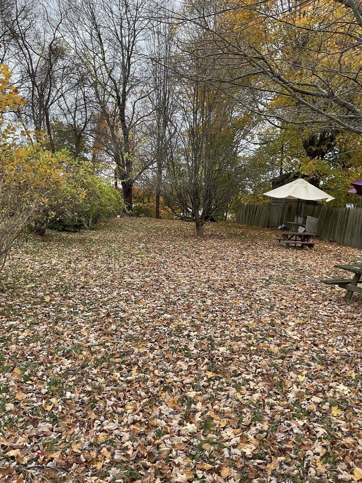 9 Montgomery Street, Westfield, MA 01085 - Image 28