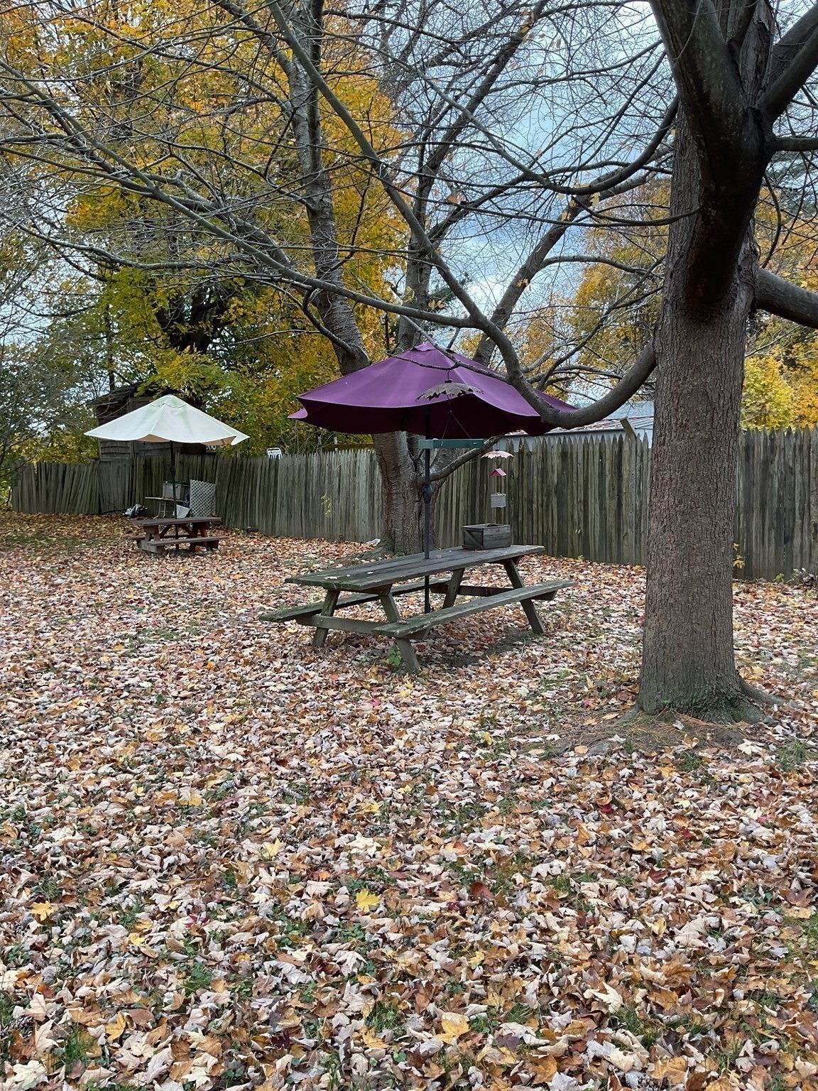 9 Montgomery Street, Westfield, MA 01085 - Image 29