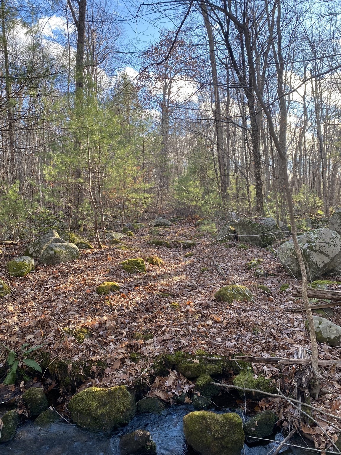  Brimfield Rd, Monson, MA 01057 - Image 6