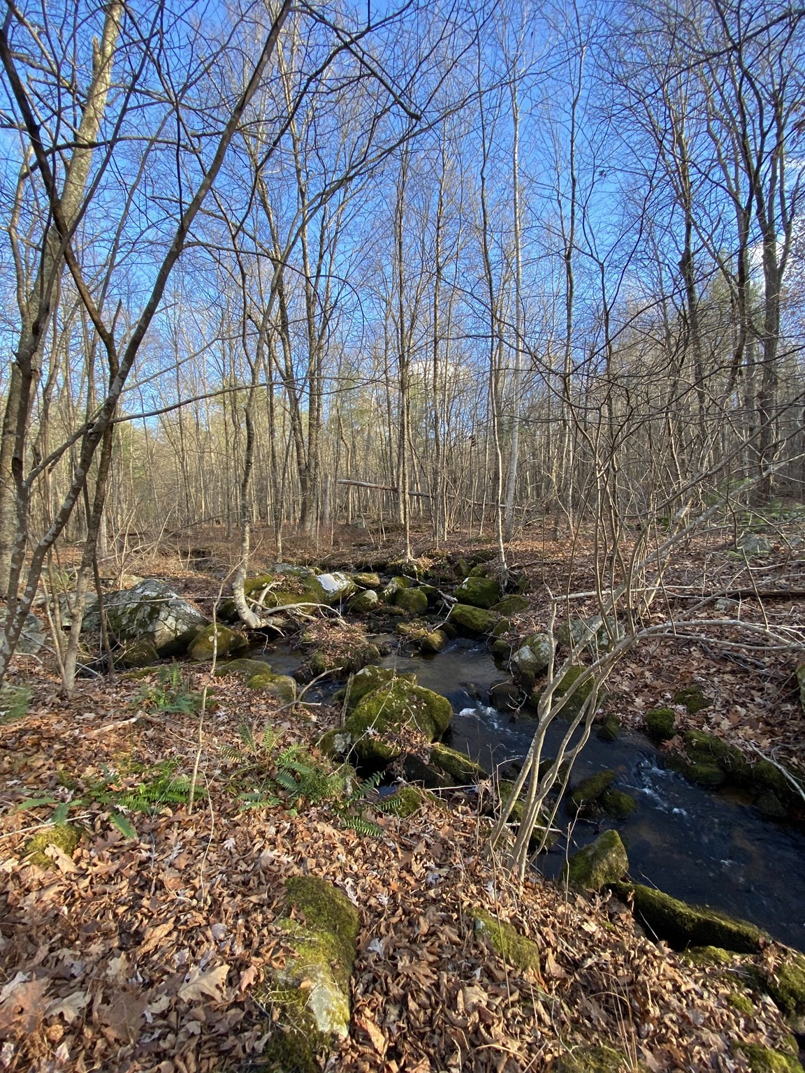  Brimfield Rd, Monson, MA 01057 - Image 7