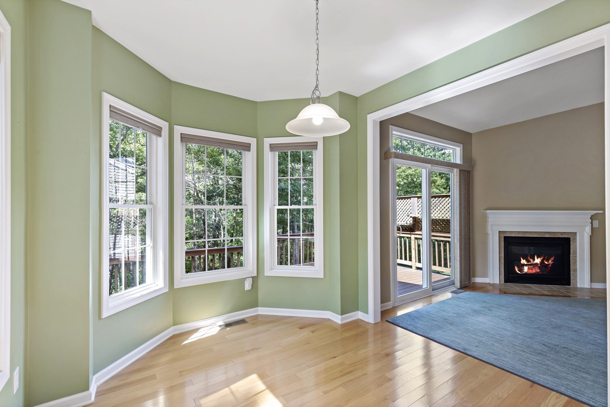 19 Red Leaf, Plymouth, MA 02360 - Image 16