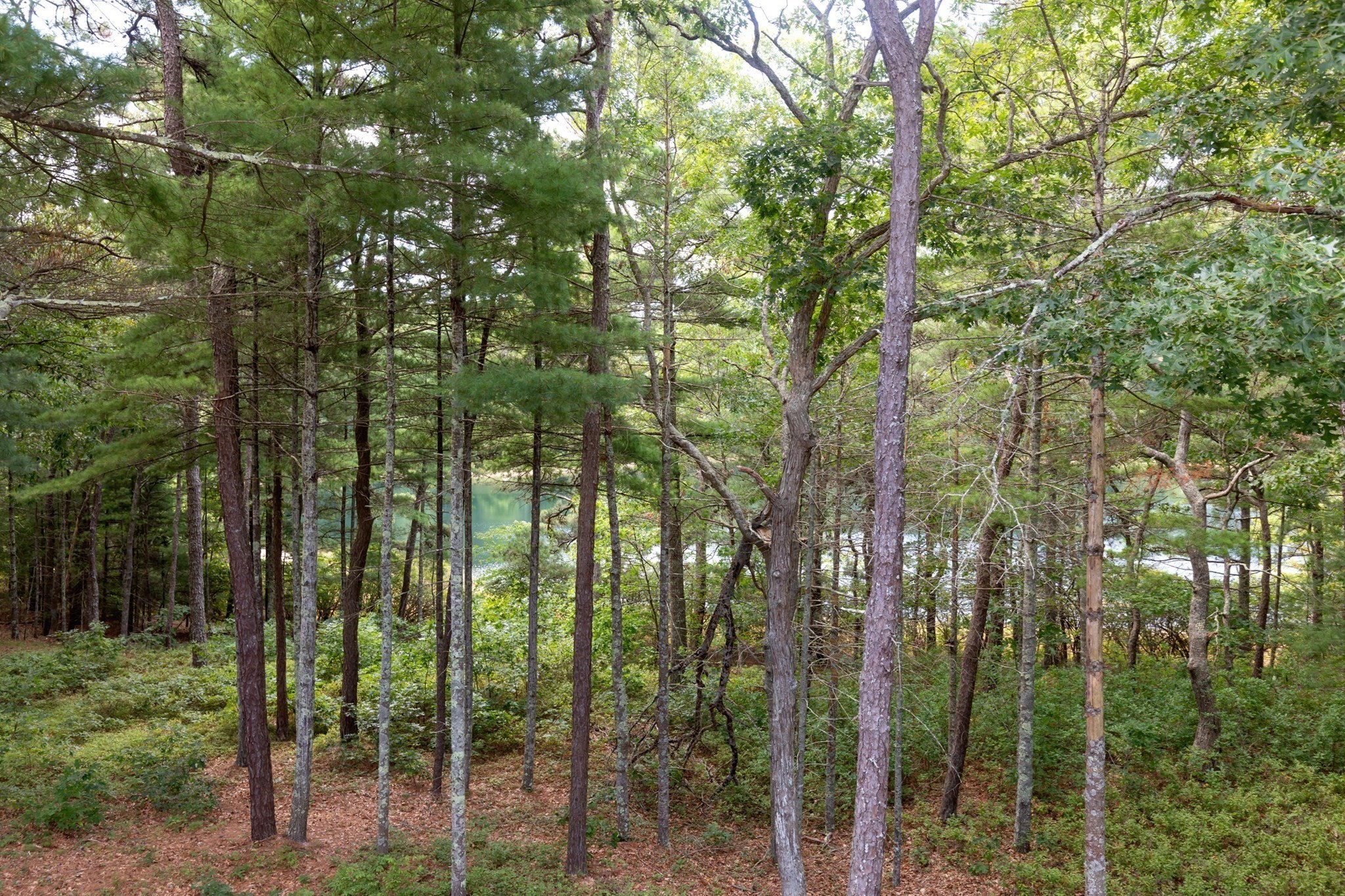 19 Red Leaf, Plymouth, MA 02360 - Image 29