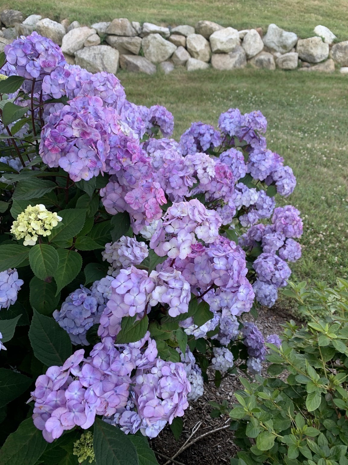 30 Highland Ter Unit 3007, Plymouth, MA 02360 - Image 36