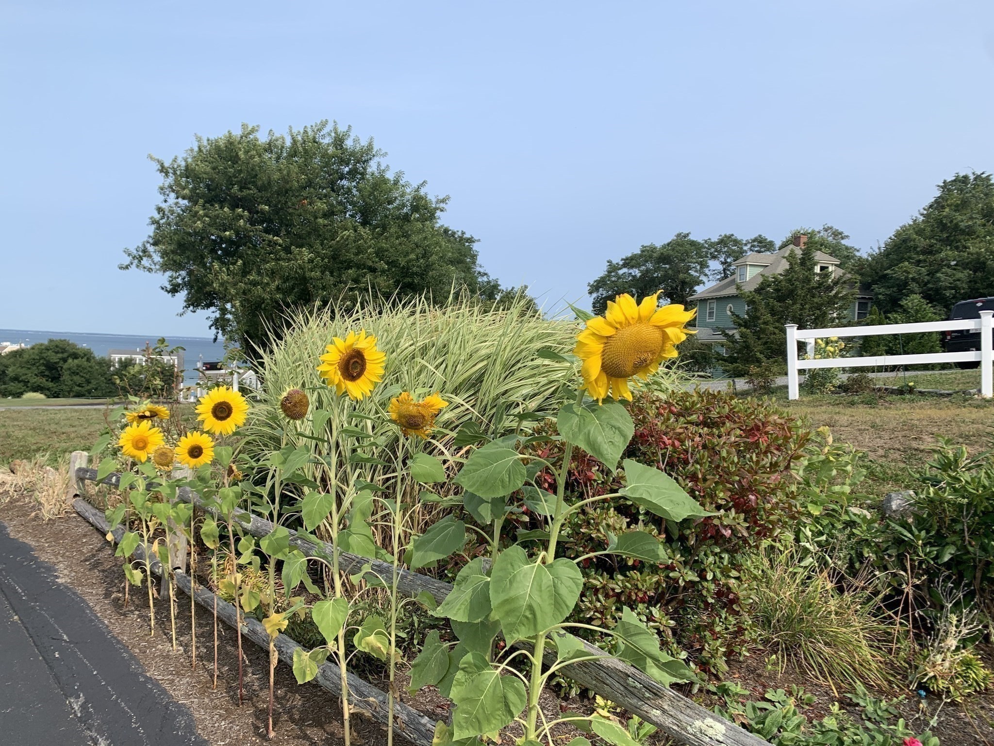 30 Highland Ter Unit 3007, Plymouth, MA 02360 - Image 37