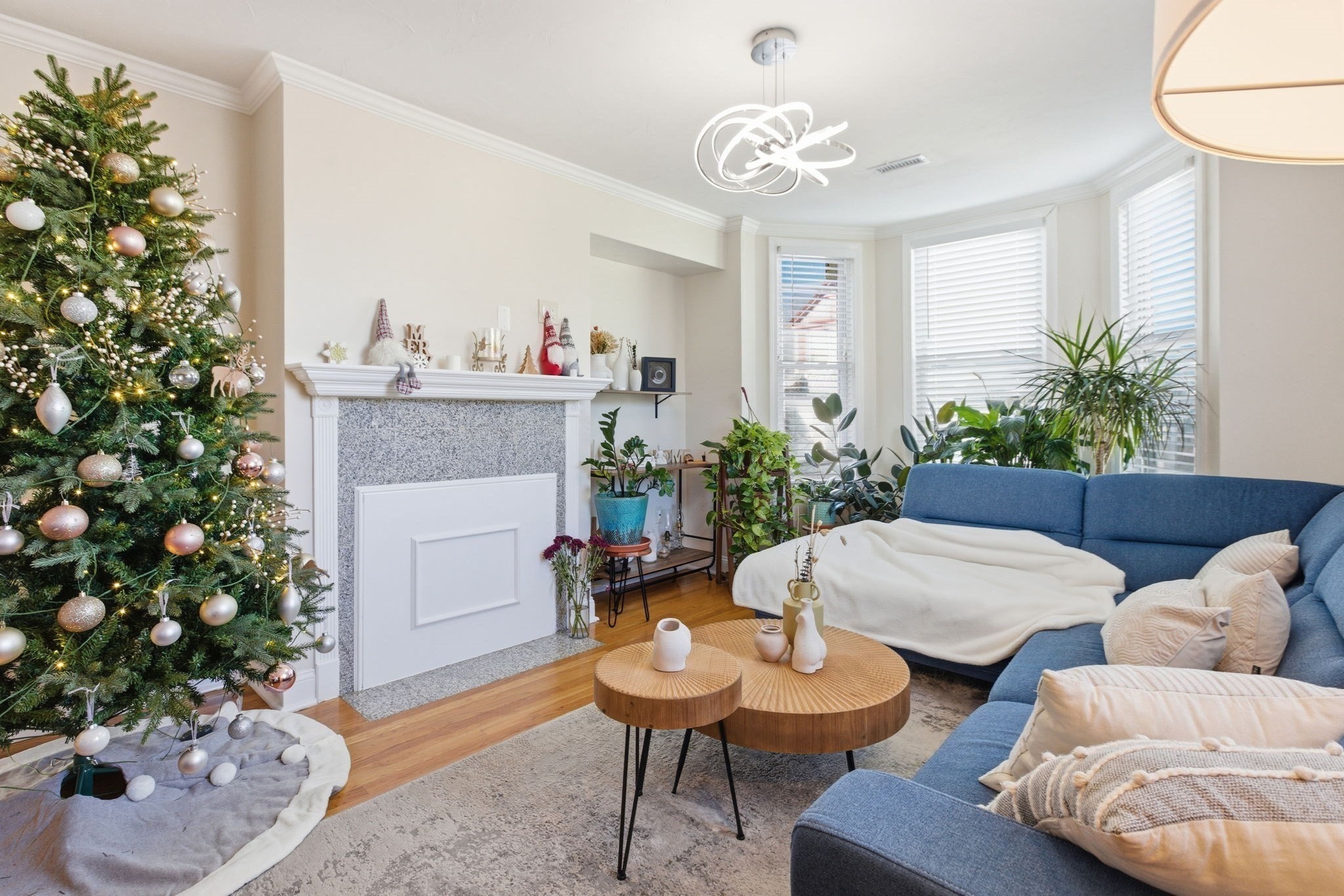 408 Seaver St Unit 2, Dorchester, Boston, MA 02121 - Image 7