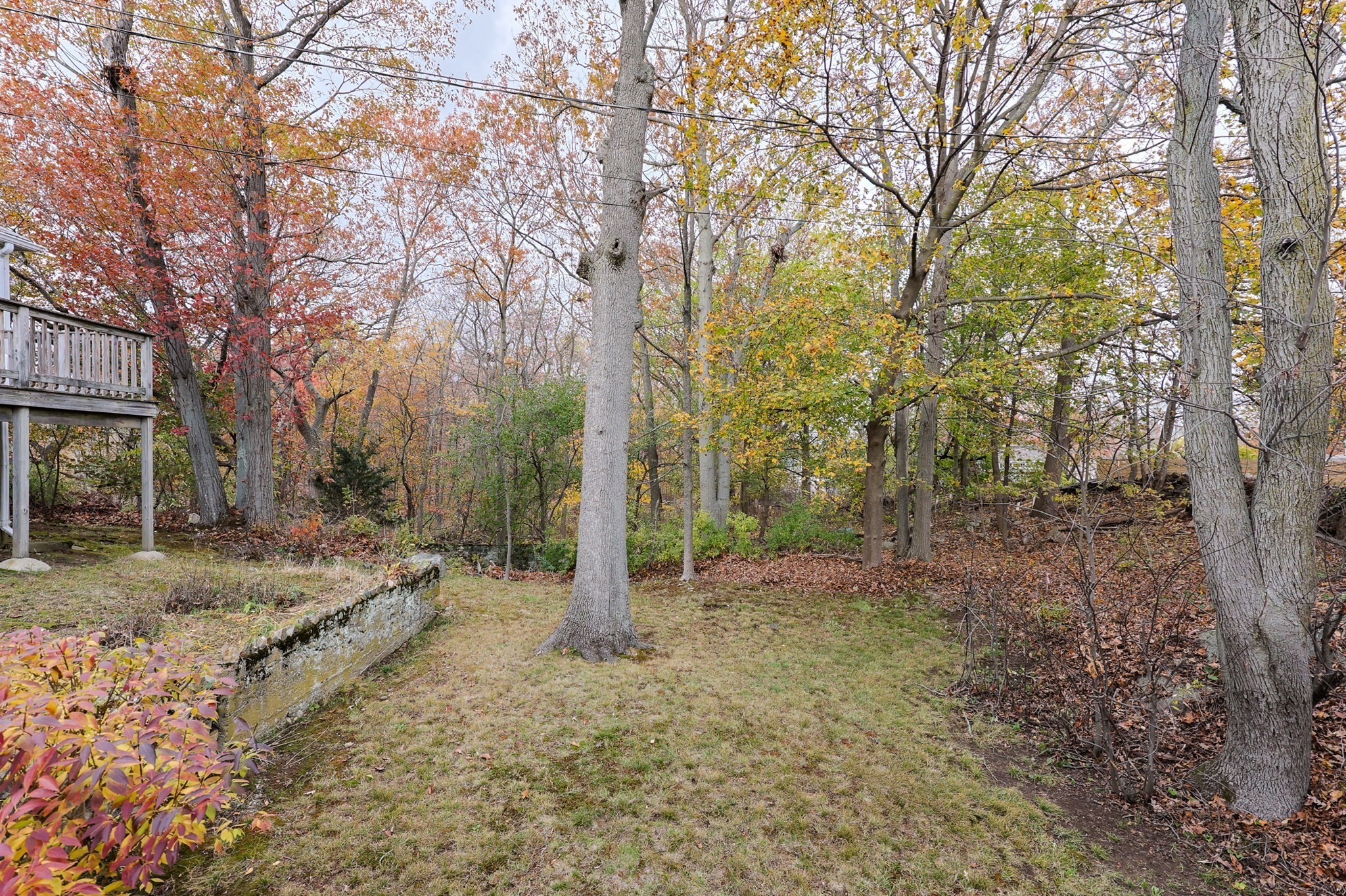 52 Harrison St, Medford, MA 02155 - Image 2