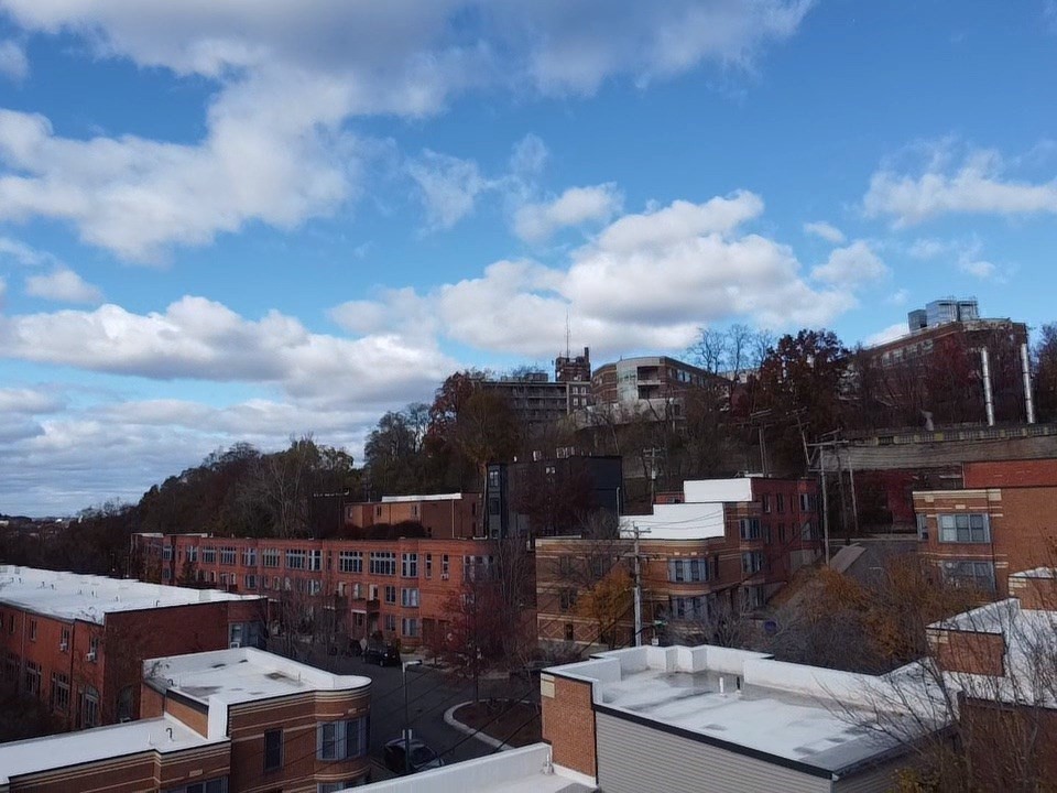 100 Lawn Unit 100, Mission Hill, Boston, MA 02120 - Image 33