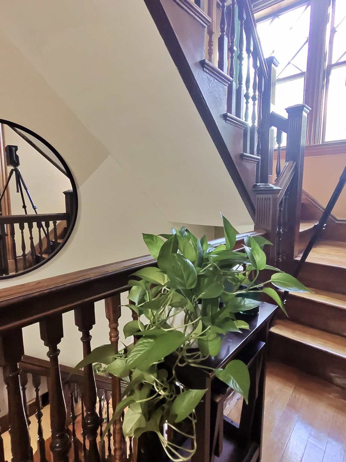 19 Mt Ida Road, Dorchester, Boston, MA 02122 - Image 34