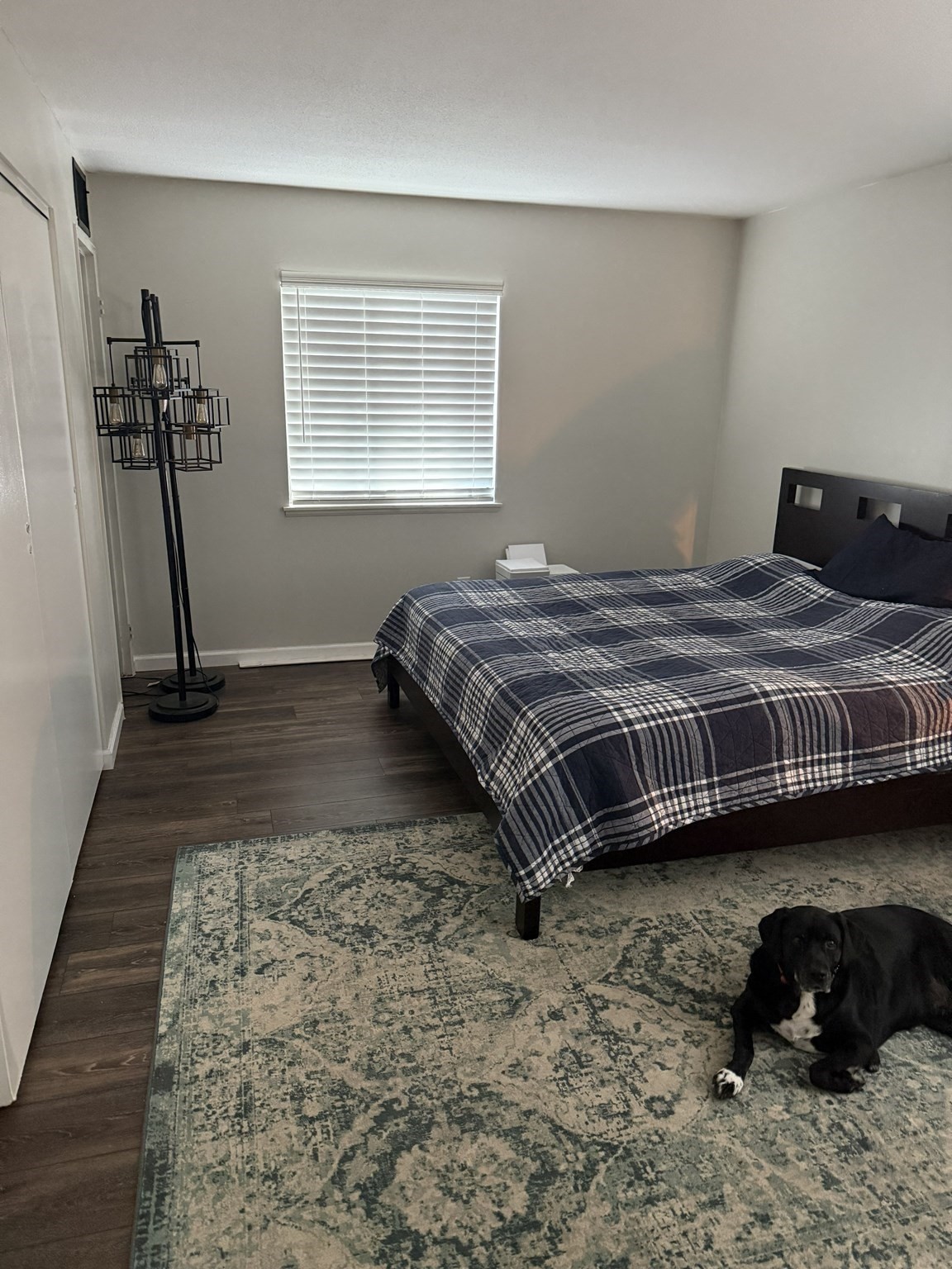 51 Village Brook Lane Unit 16, Natick, MA 01760 - Image 4