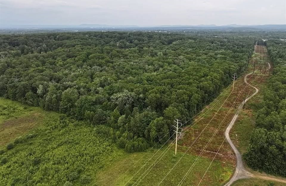 46 Washington Rd, Wilbraham, MA 01095 - Image 6