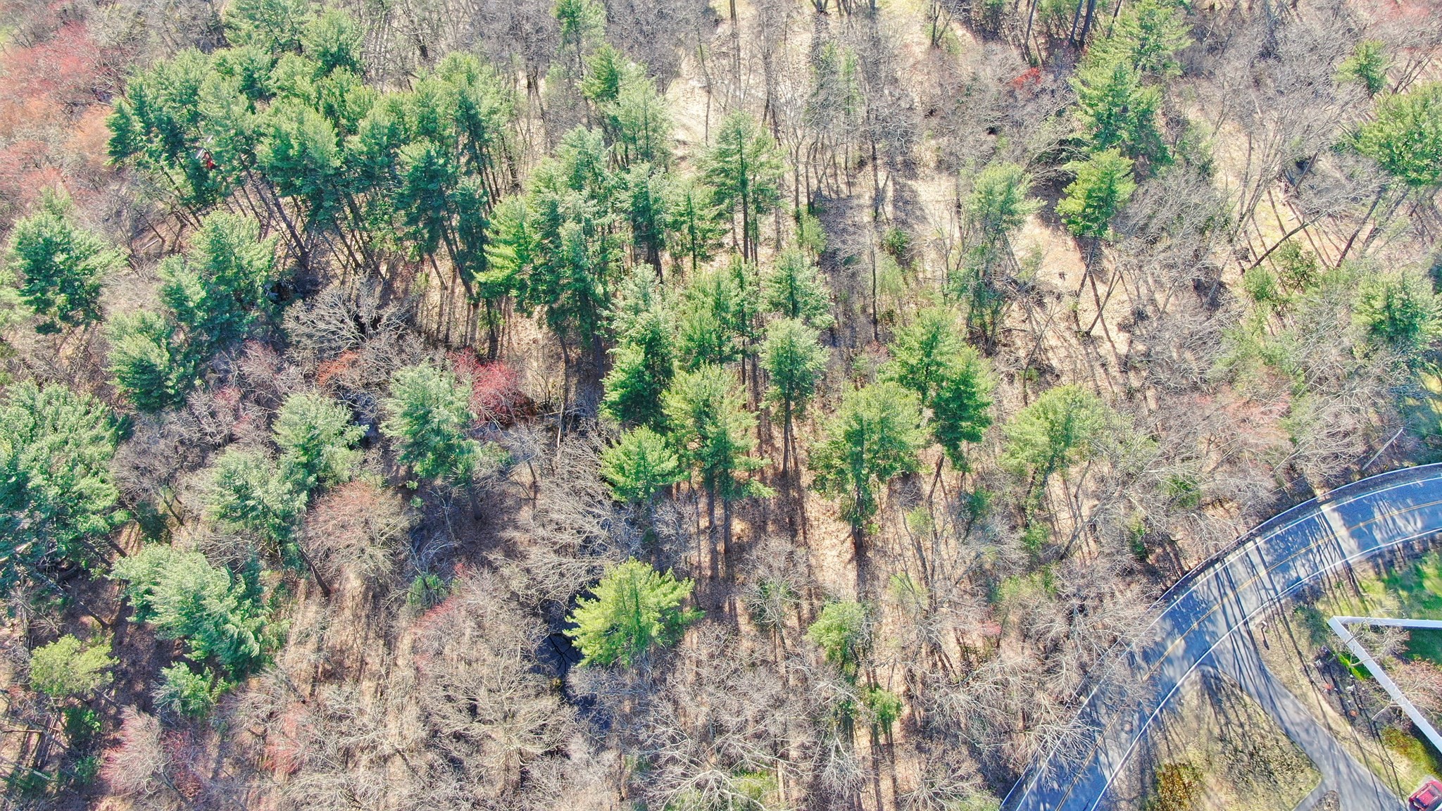 0 Hampshire Road, Methuen, MA 01844 - Image 11