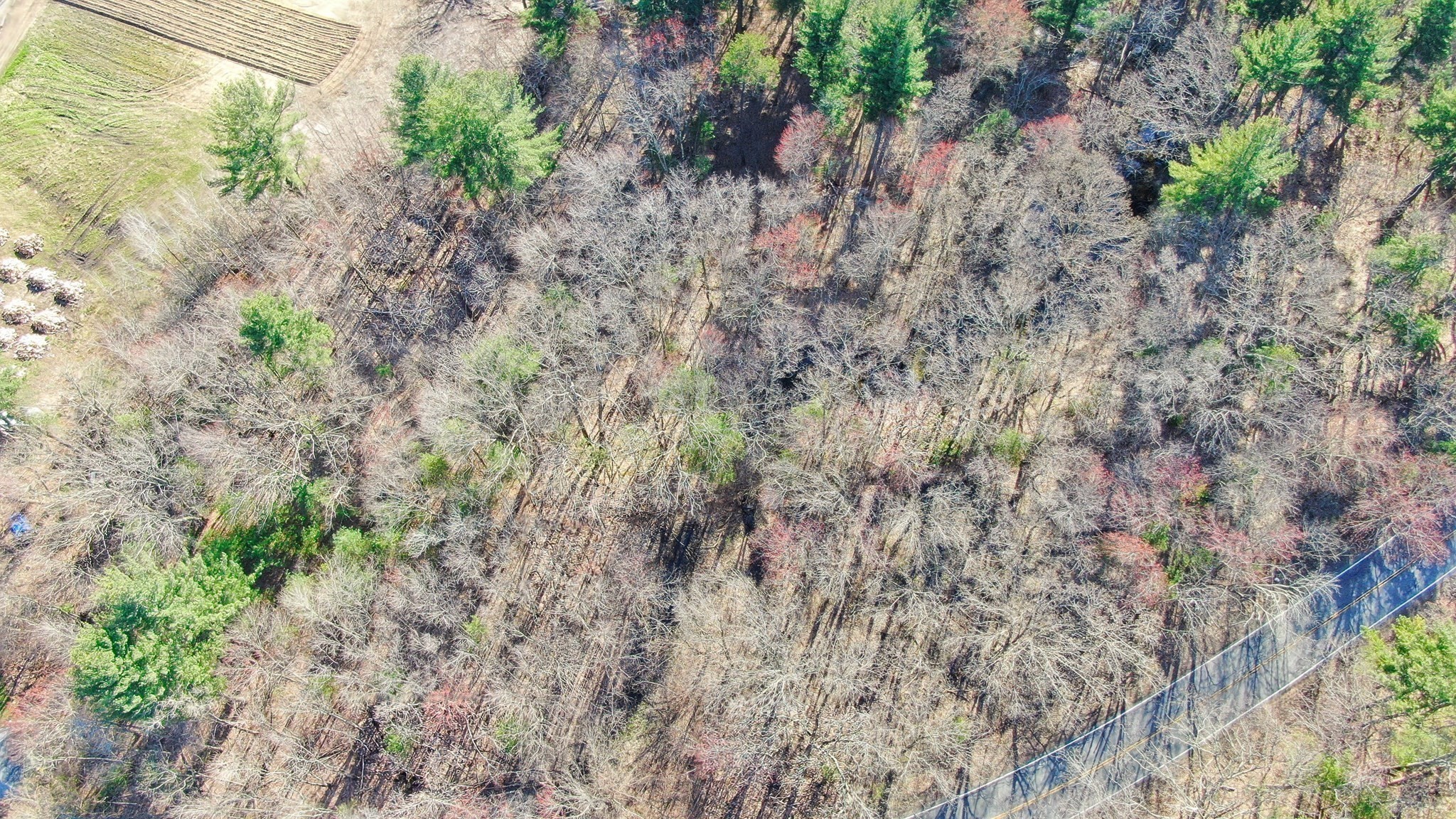 0 Hampshire Road, Methuen, MA 01844 - Image 5