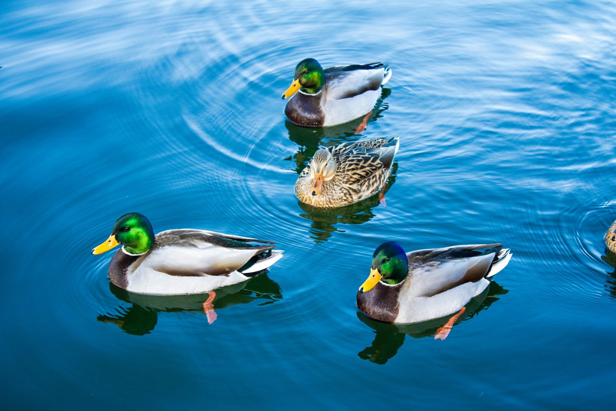 24 Cote Lane, Sutton, MA 01590 - Image 7