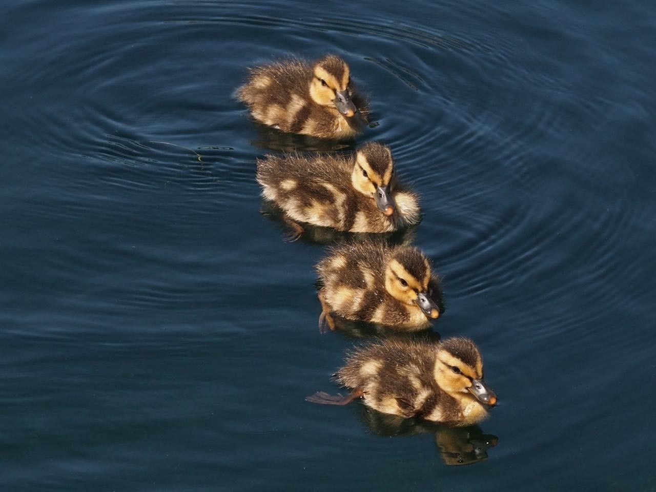 24 Cote Lane, Sutton, MA 01590 - Image 8