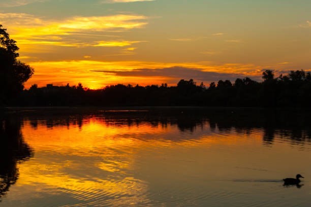 24 Cote Lane, Sutton, MA 01590 - Image 9