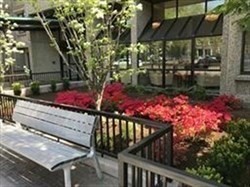 1731 Beacon St Unit 1502, Brookline, MA 02445 - Image 3