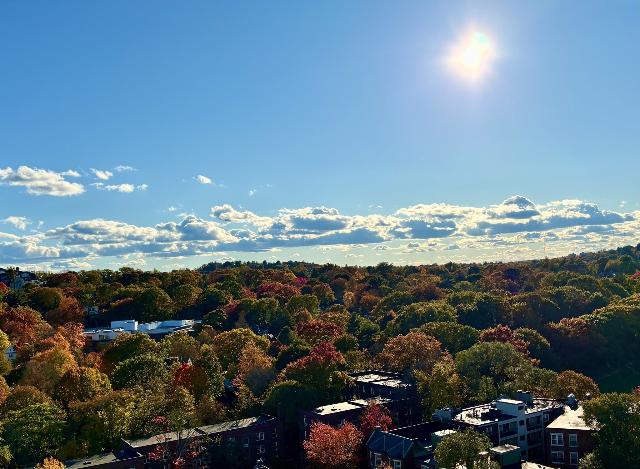 1731 Beacon St Unit 1502, Brookline, MA 02445 - Image 23