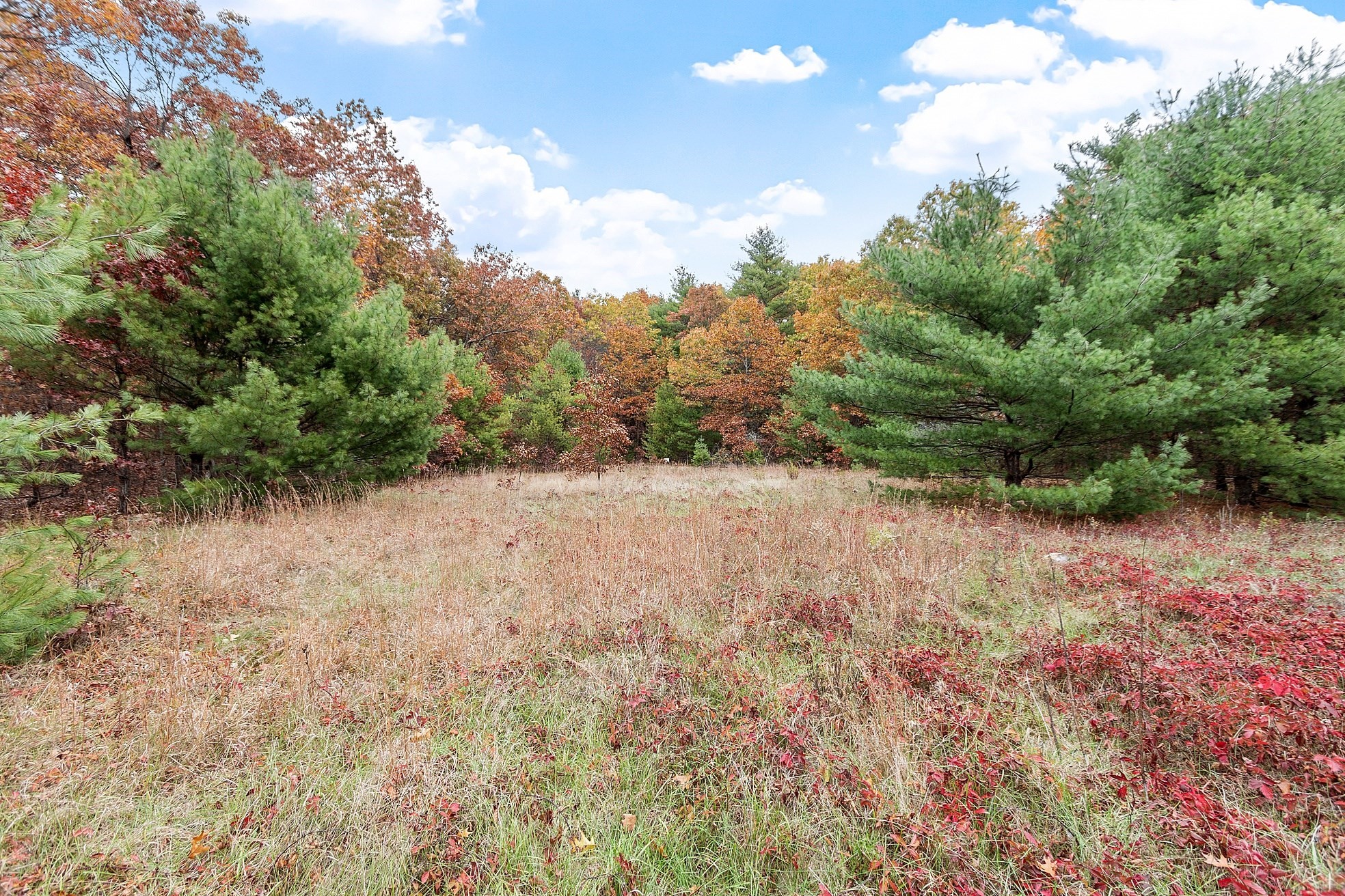 45 Clark Rd, Shirley, MA 01464 - Image 3