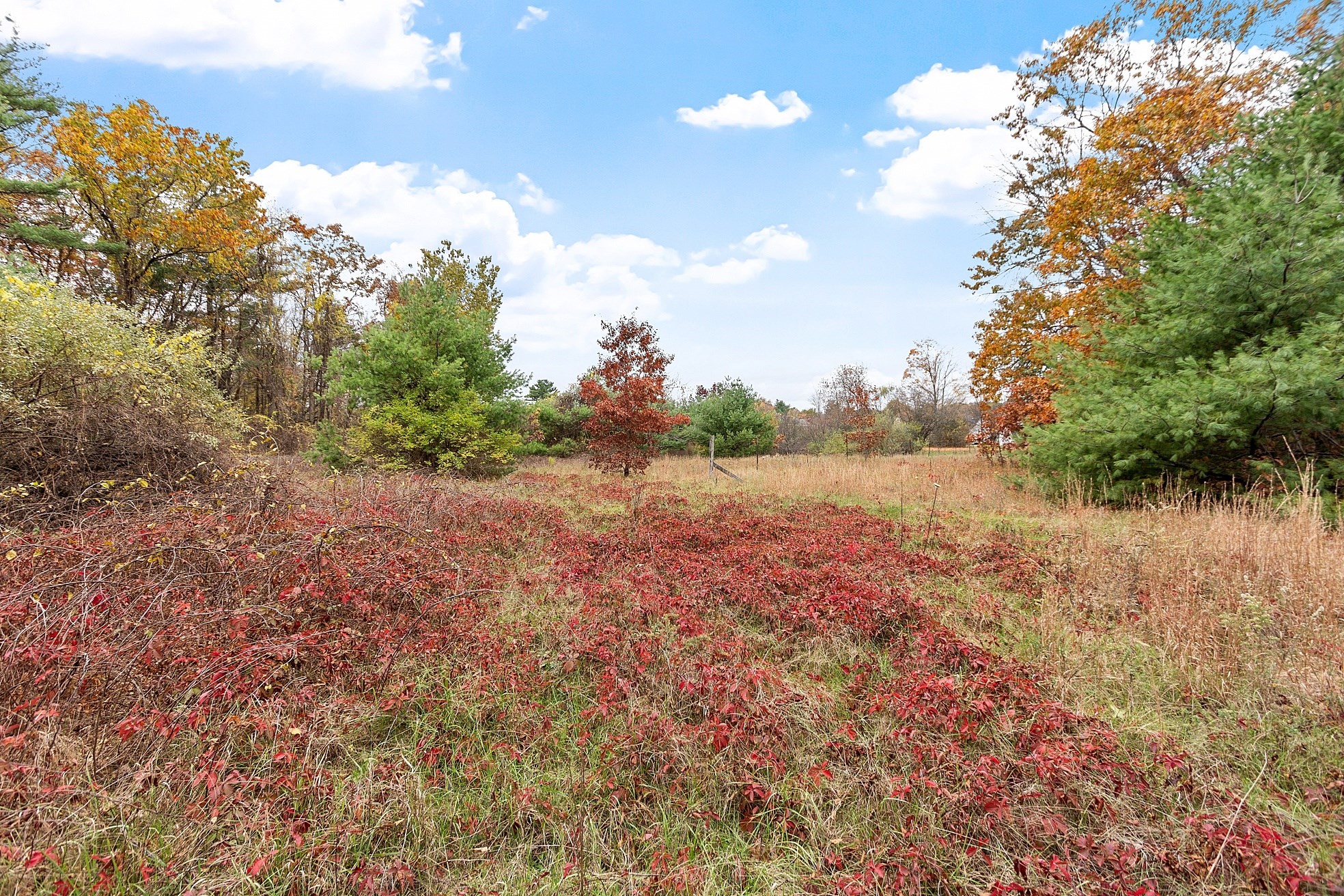 45 Clark Rd, Shirley, MA 01464 - Image 4