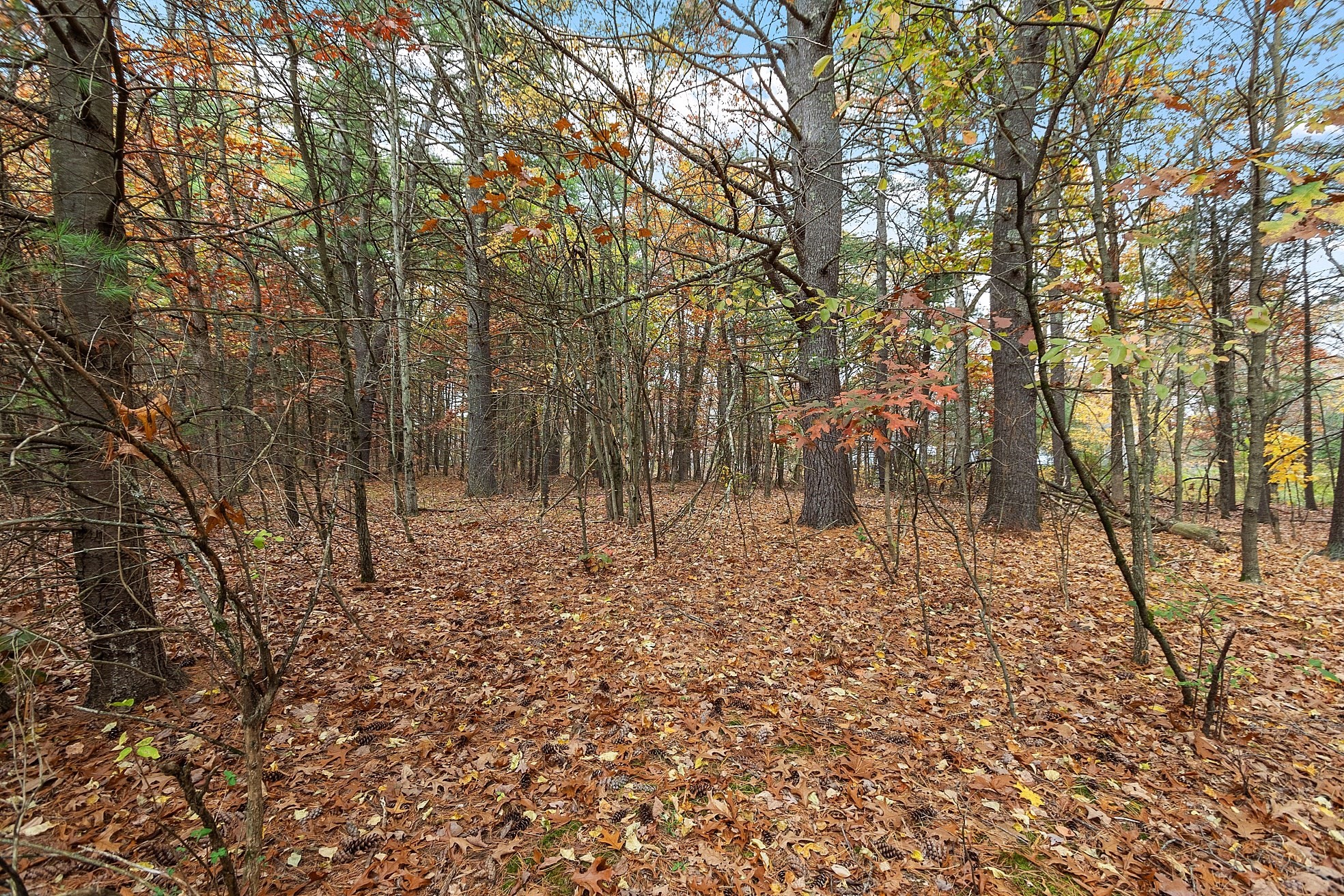 45 Clark Rd, Shirley, MA 01464 - Image 5