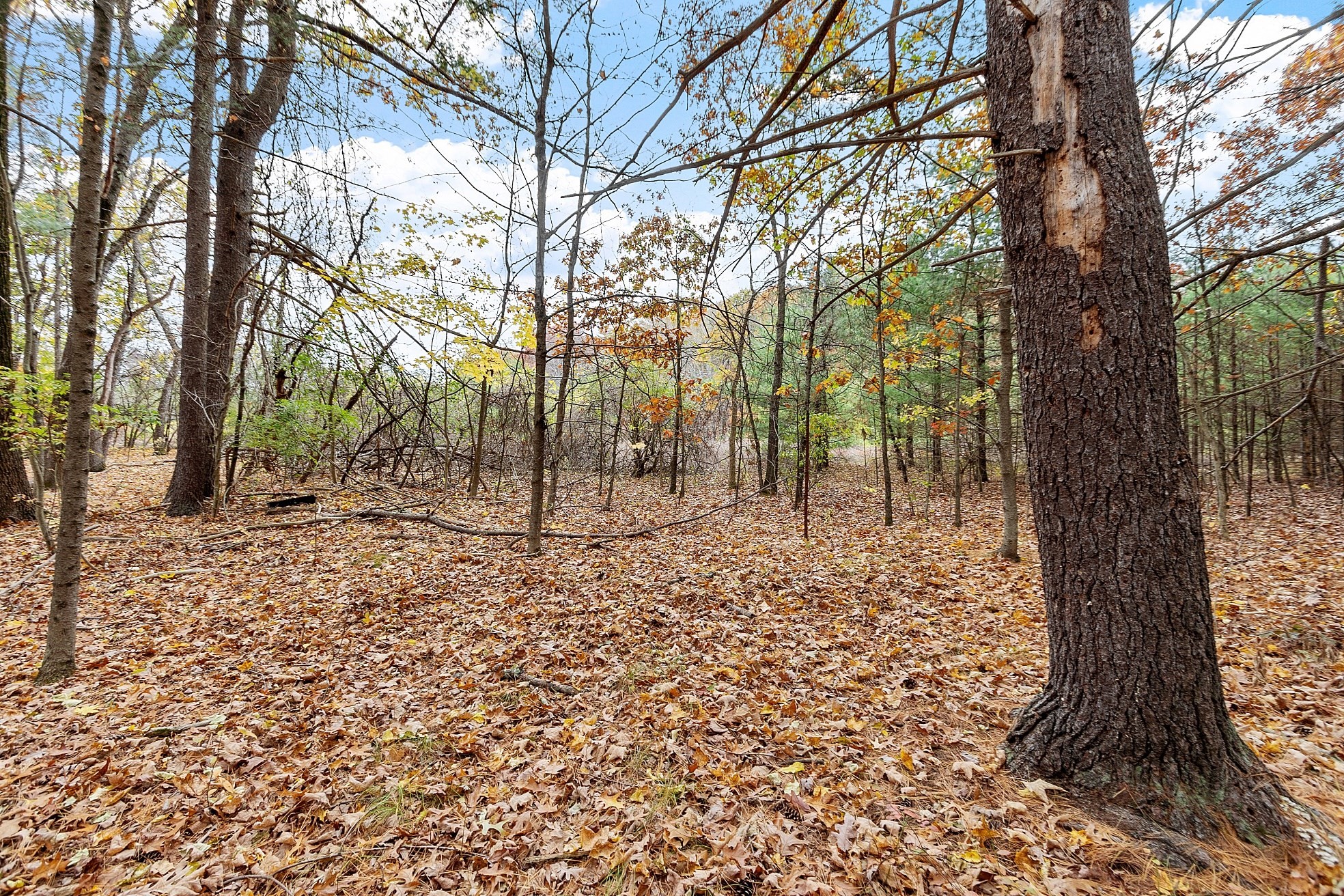 45 Clark Rd, Shirley, MA 01464 - Image 6