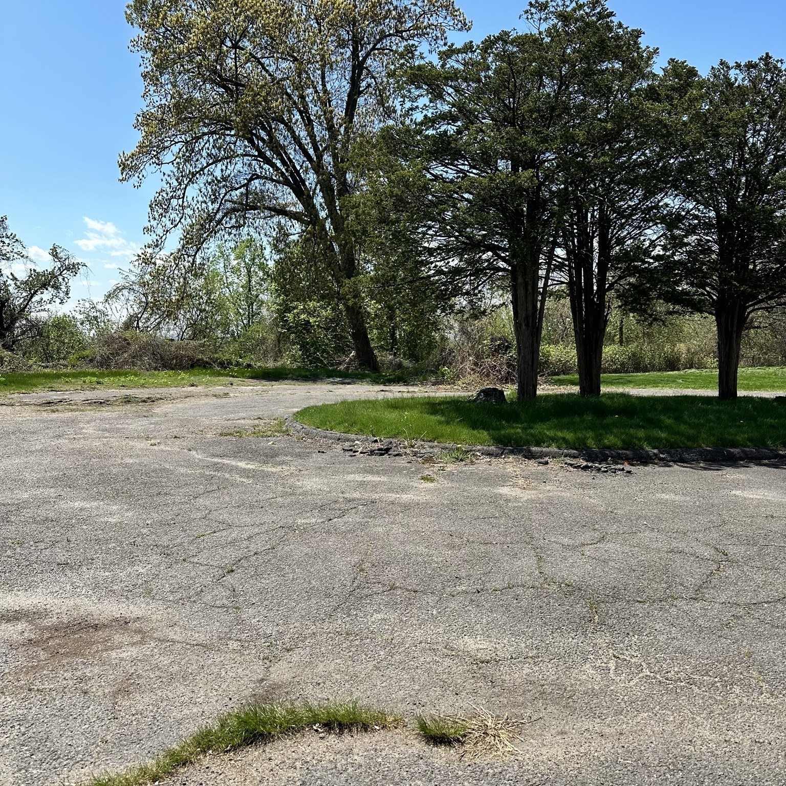 308 Maple St, Springfield, MA 01101 - Image 12