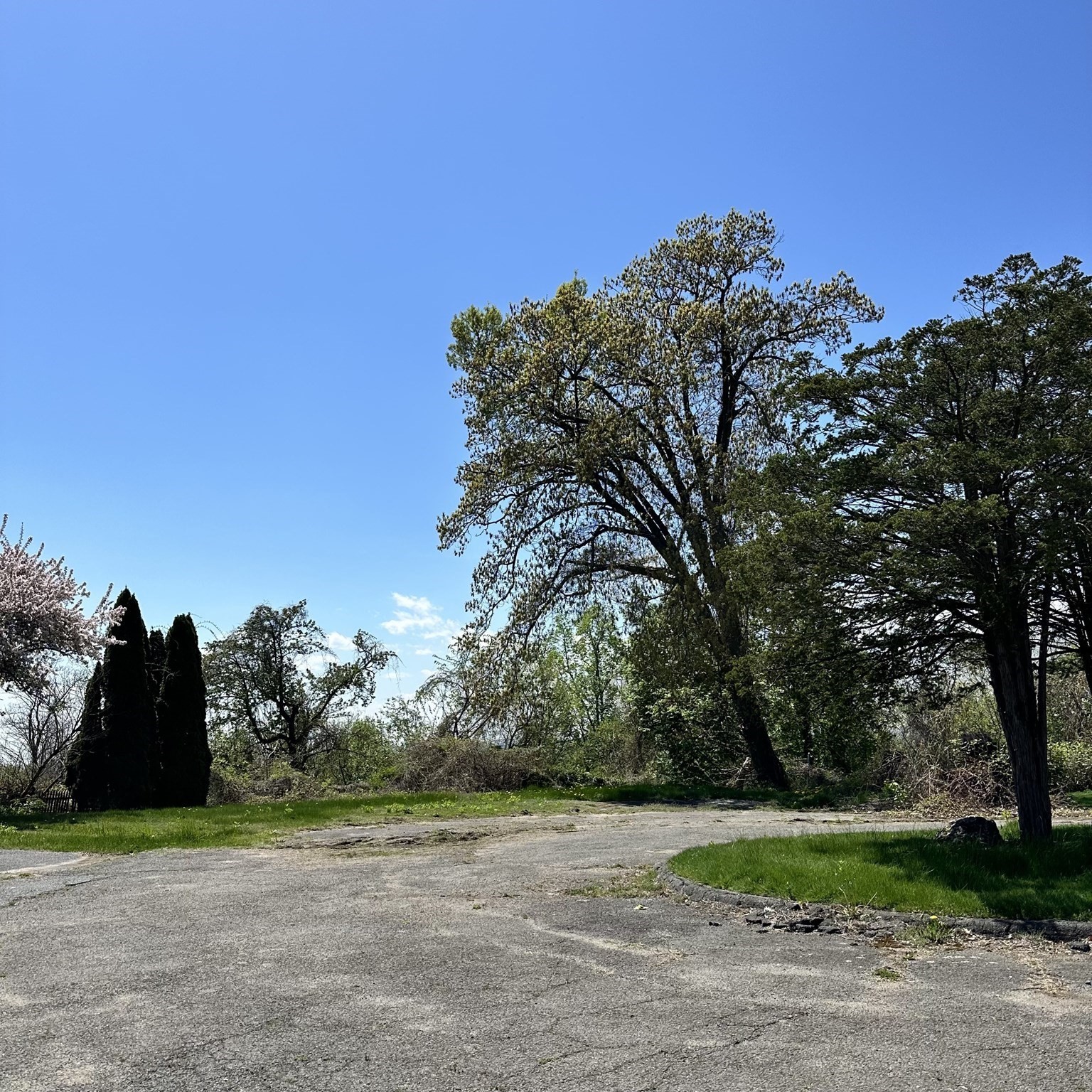 308 Maple St, Springfield, MA 01101 - Image 13