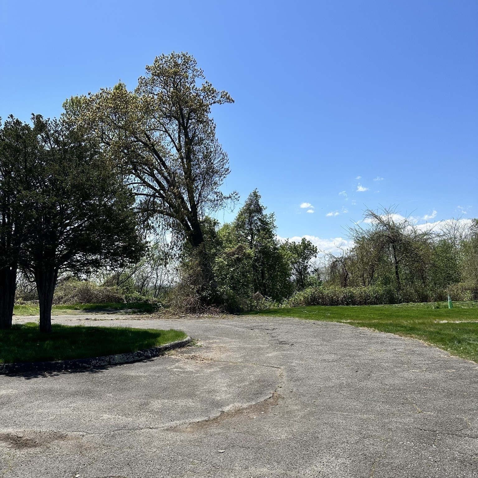 308 Maple St, Springfield, MA 01101 - Image 3