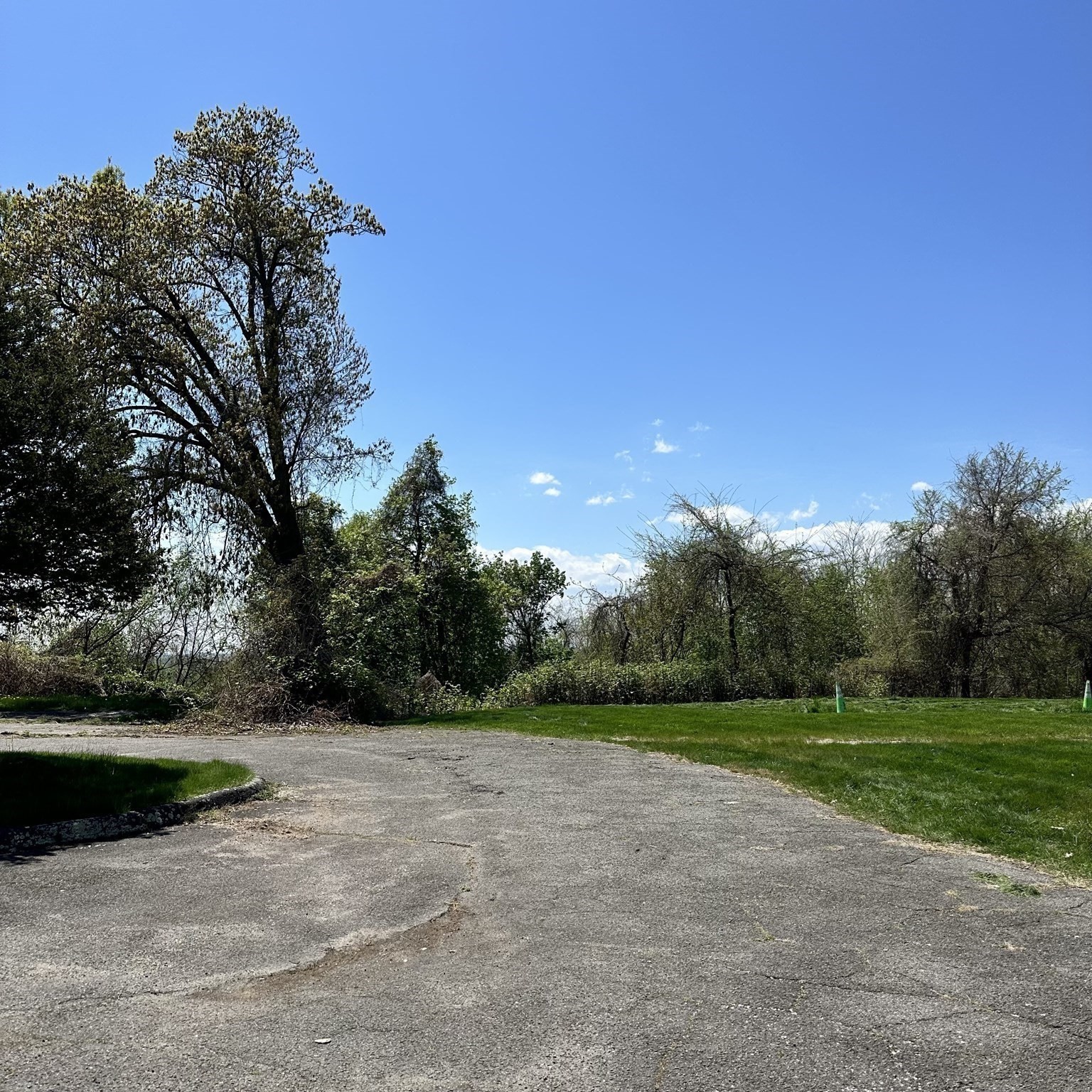 308 Maple St, Springfield, MA 01101 - Image 4