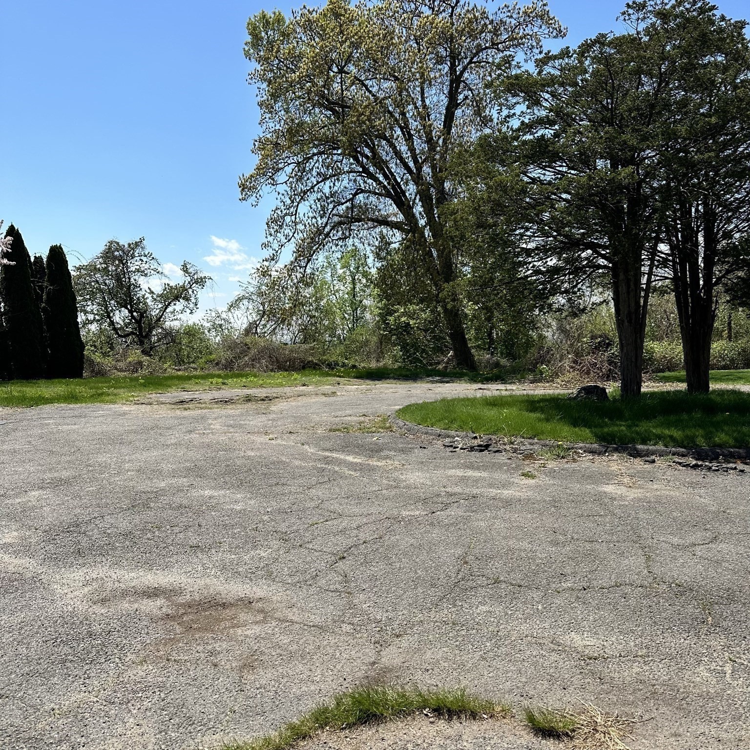 308 Maple St, Springfield, MA 01101 - Image 6