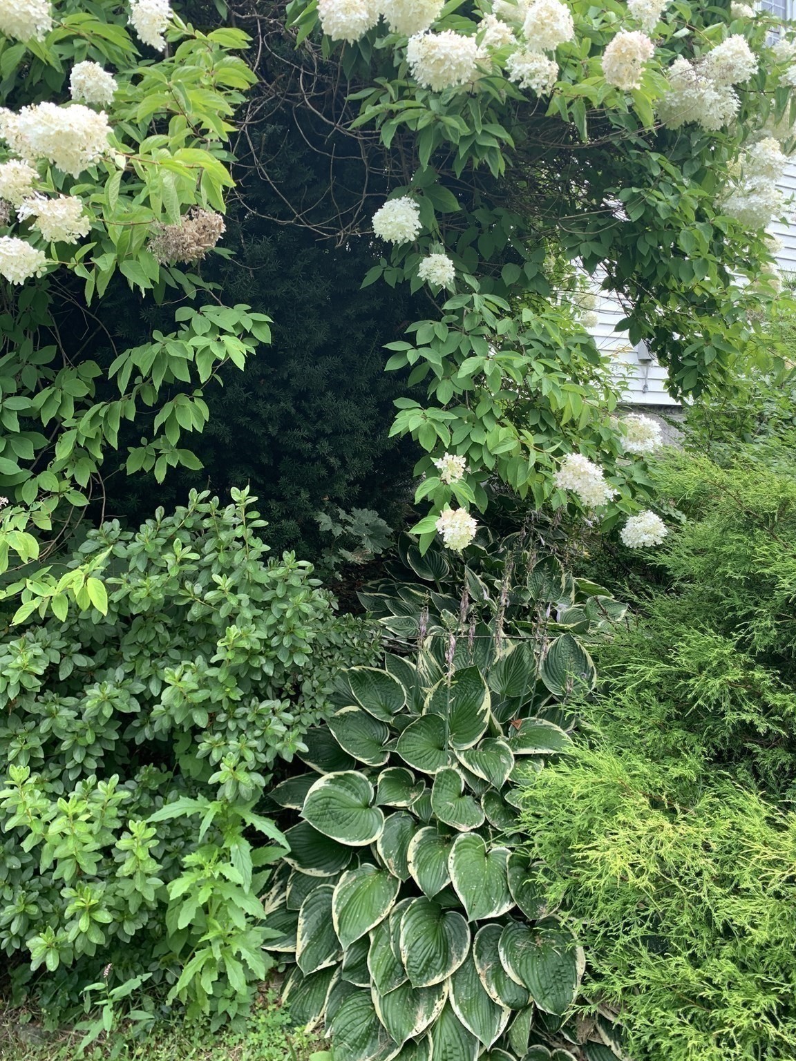 97 Hoyt Avenue, Lowell, MA 01852 - Image 37