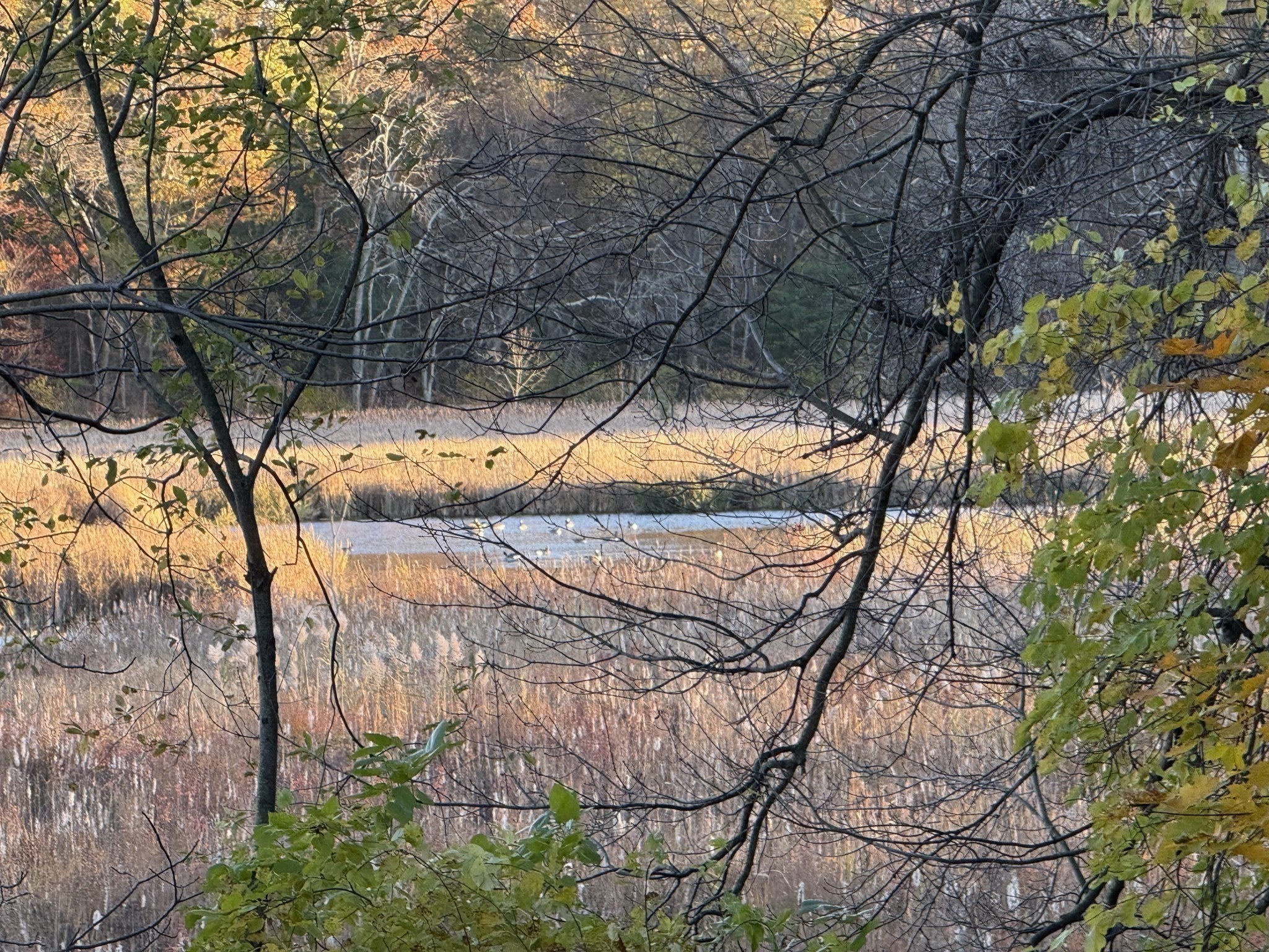 11 Spring Street, Danvers, MA 01923 - Image 40