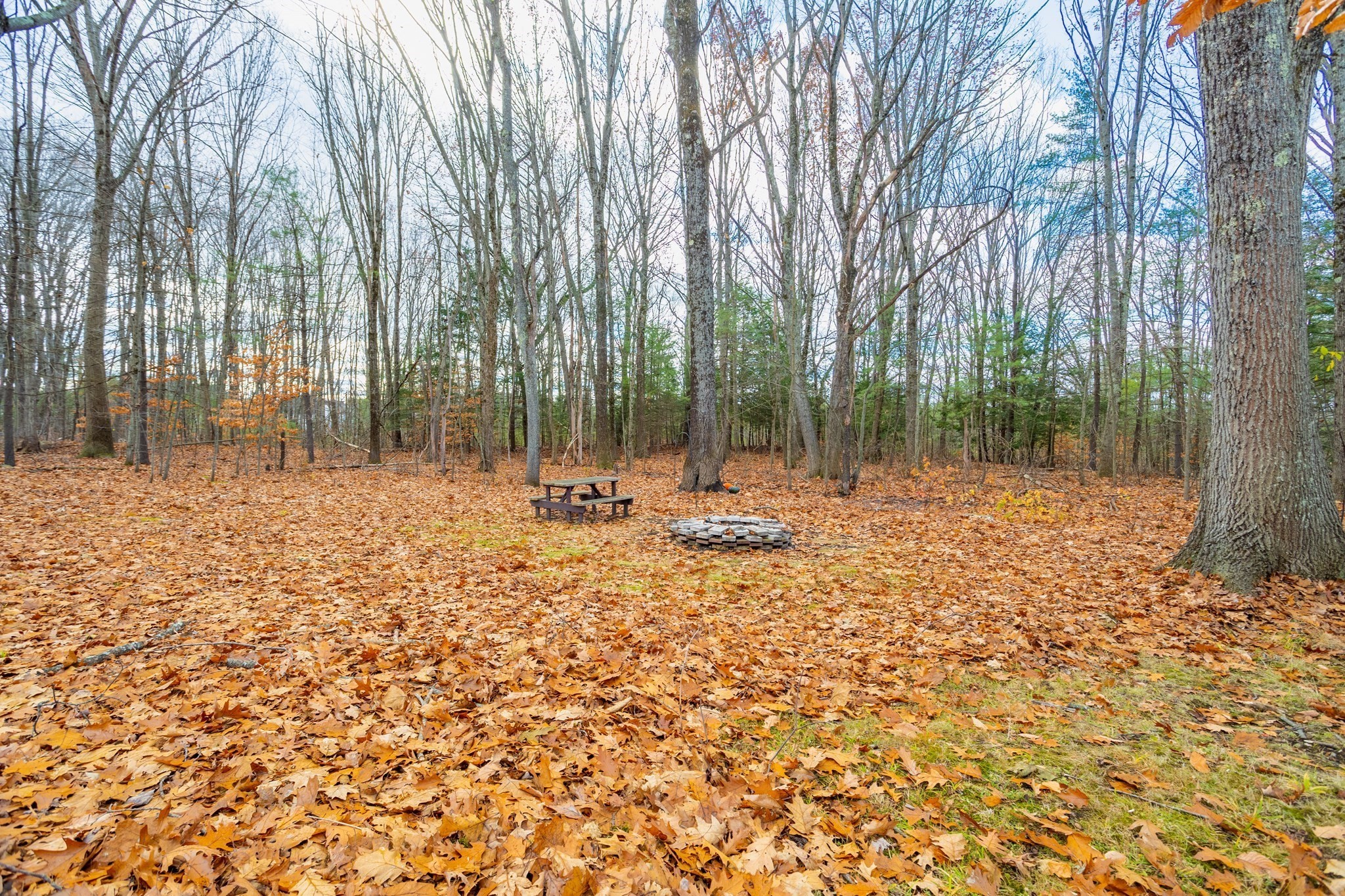 199 Barthel Ave, Gardner, MA 01440 - Image 34