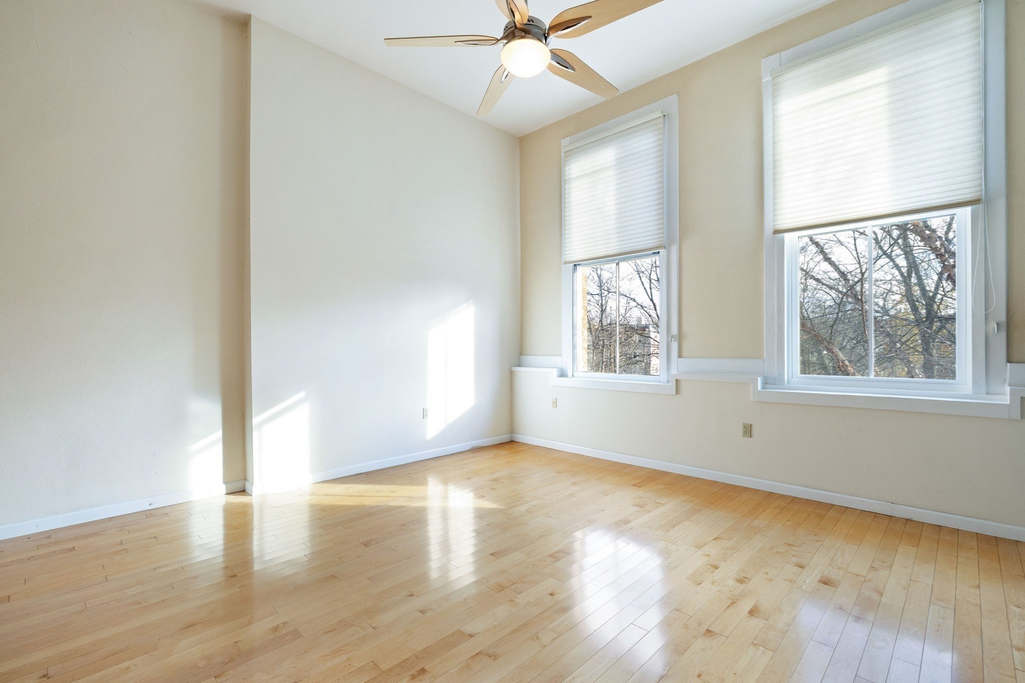 35 New South St Unit 307, Northampton, MA 01060 - Image 8