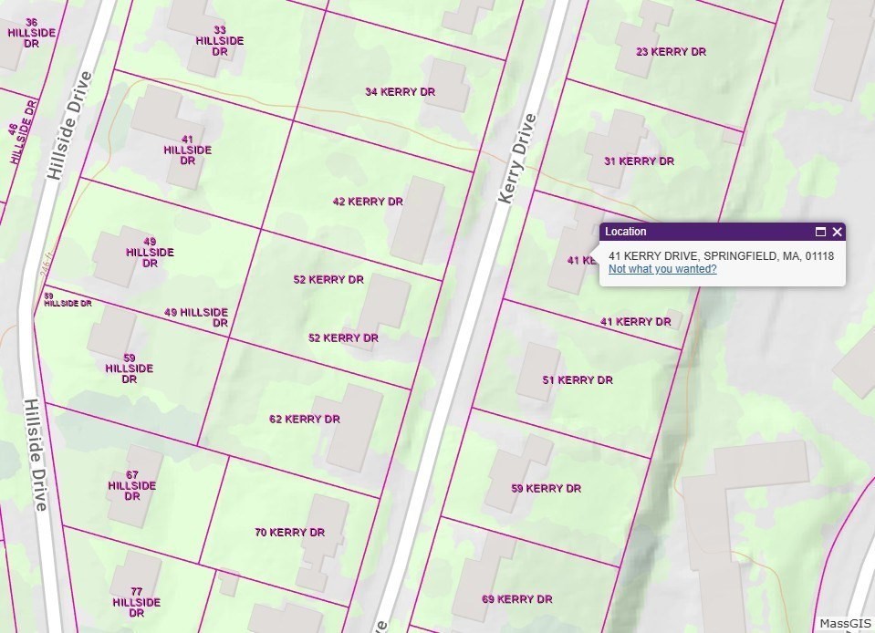 41 Kerry Dr, Springfield, MA 01118 - Image 24
