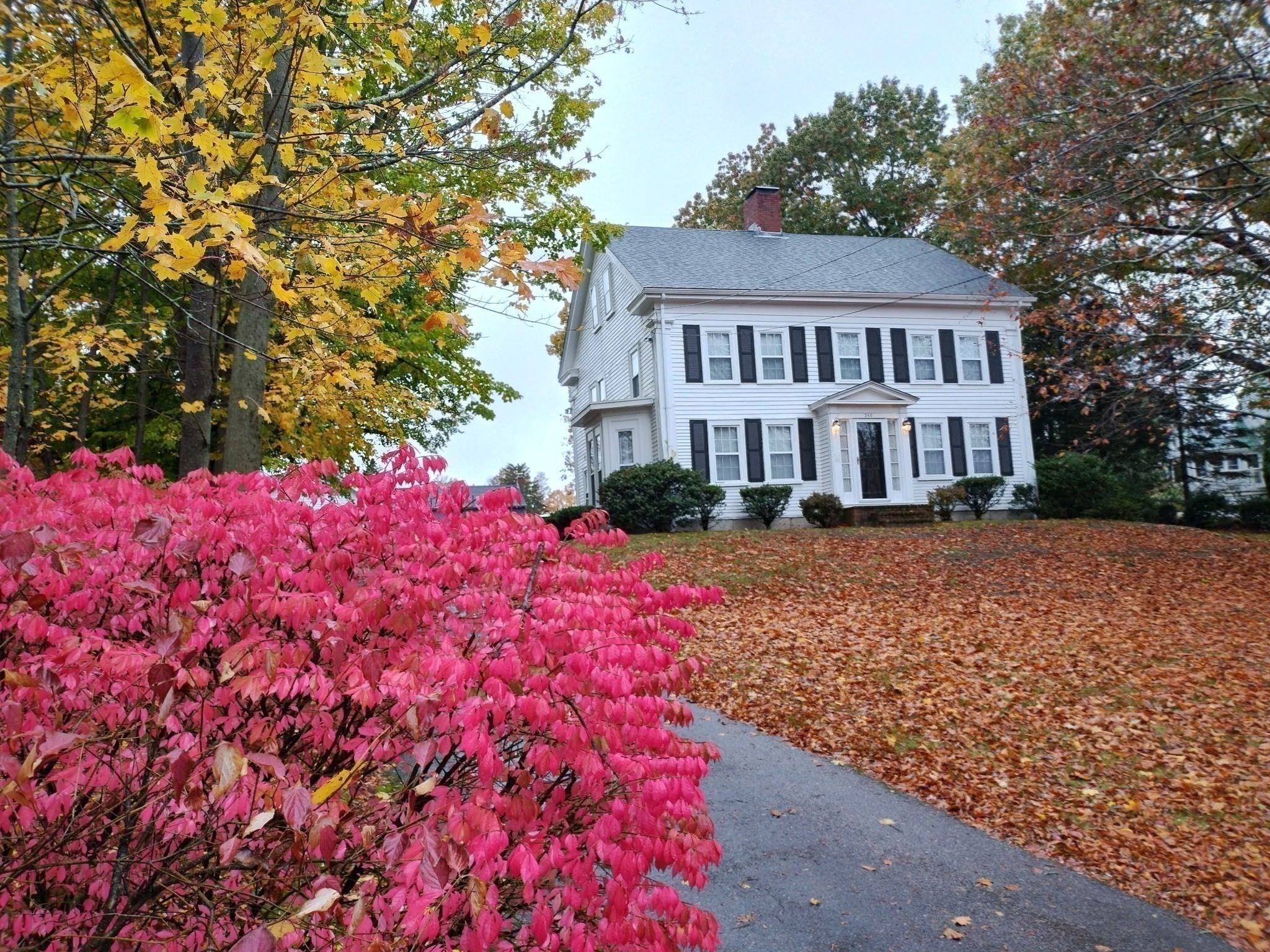 286 Essex St, Weymouth, MA 02188 - Image 10