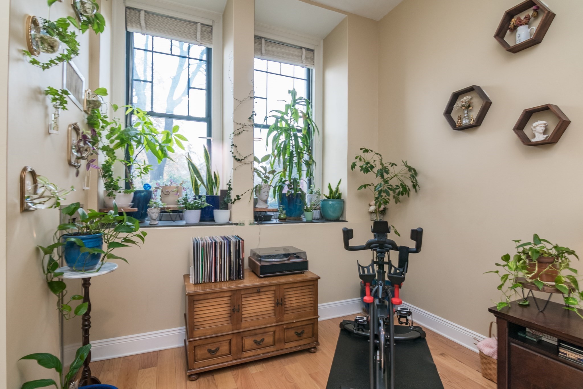 235 State St Unit 105, Springfield, MA 01103 - Image 11