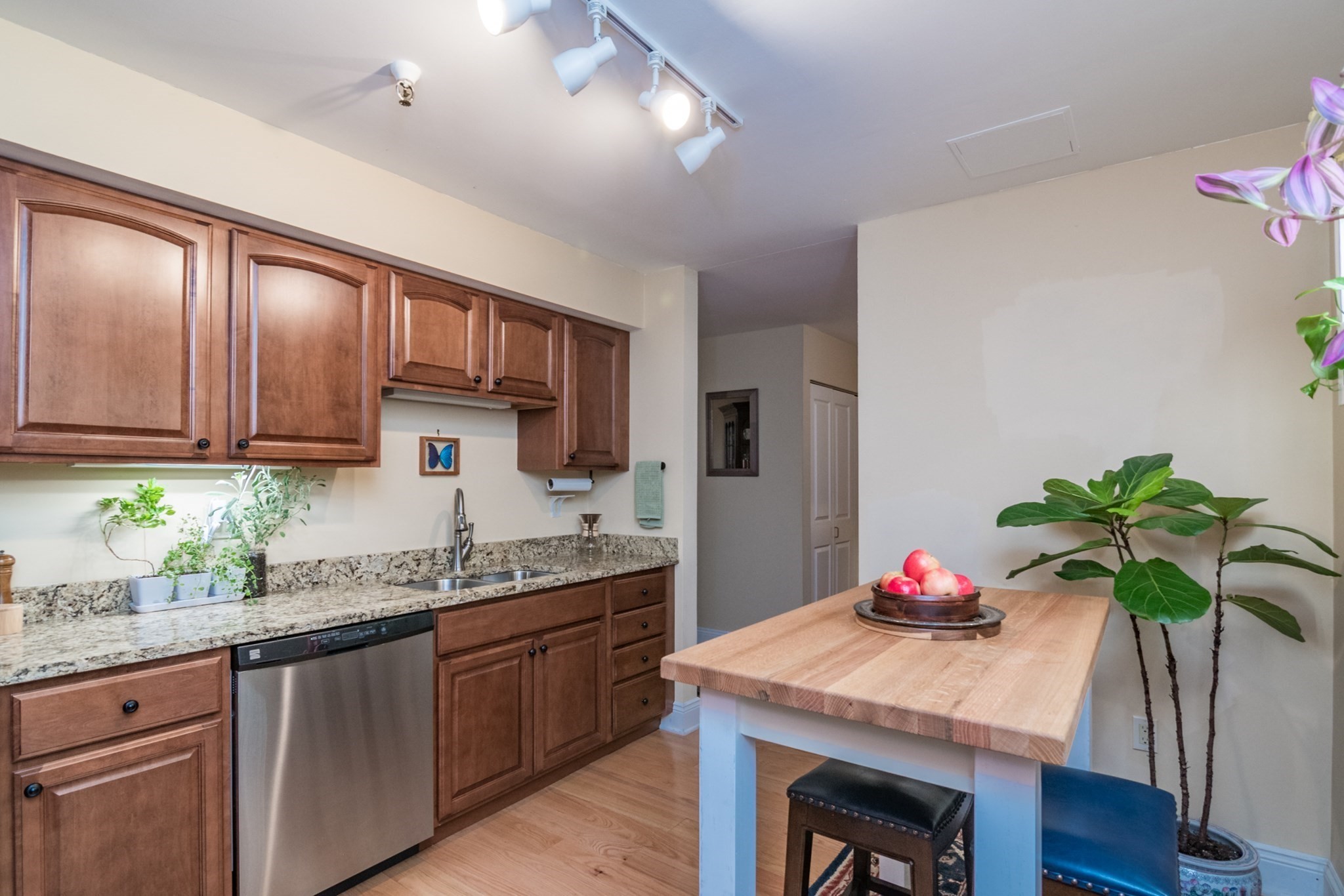 235 State St Unit 105, Springfield, MA 01103 - Image 6
