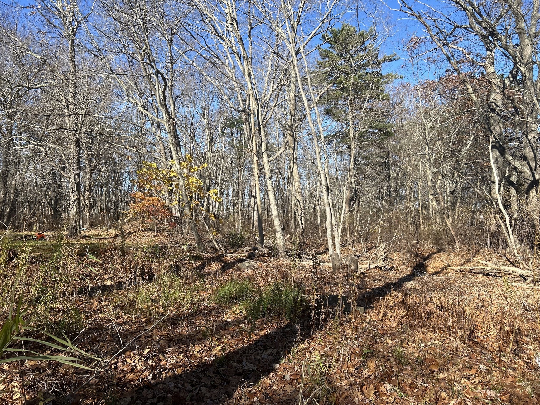 127 Beach Rd, Salisbury, MA 01952 - Image 30