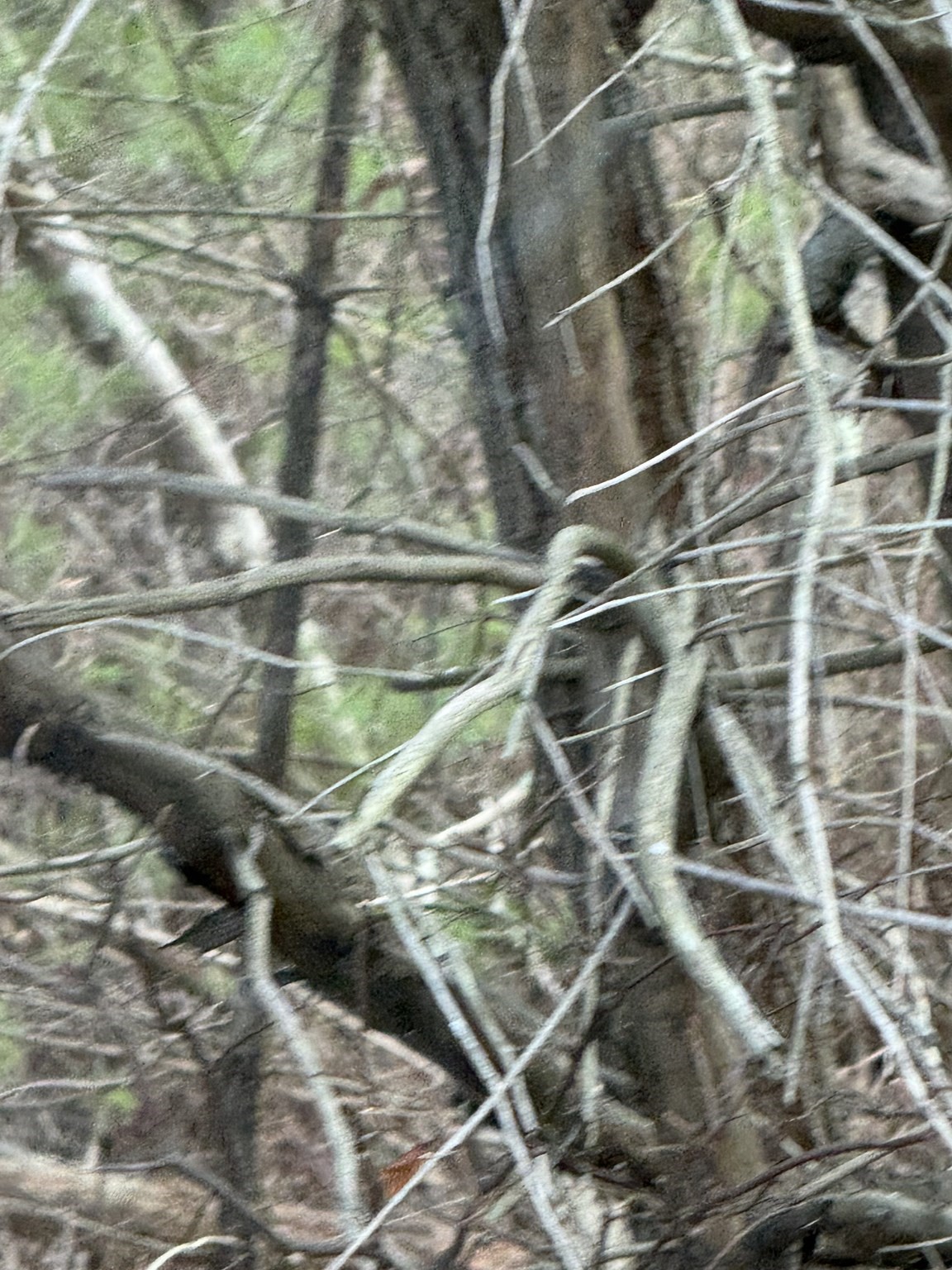 51 Holly Pond, Marion, MA 02738 - Image 1