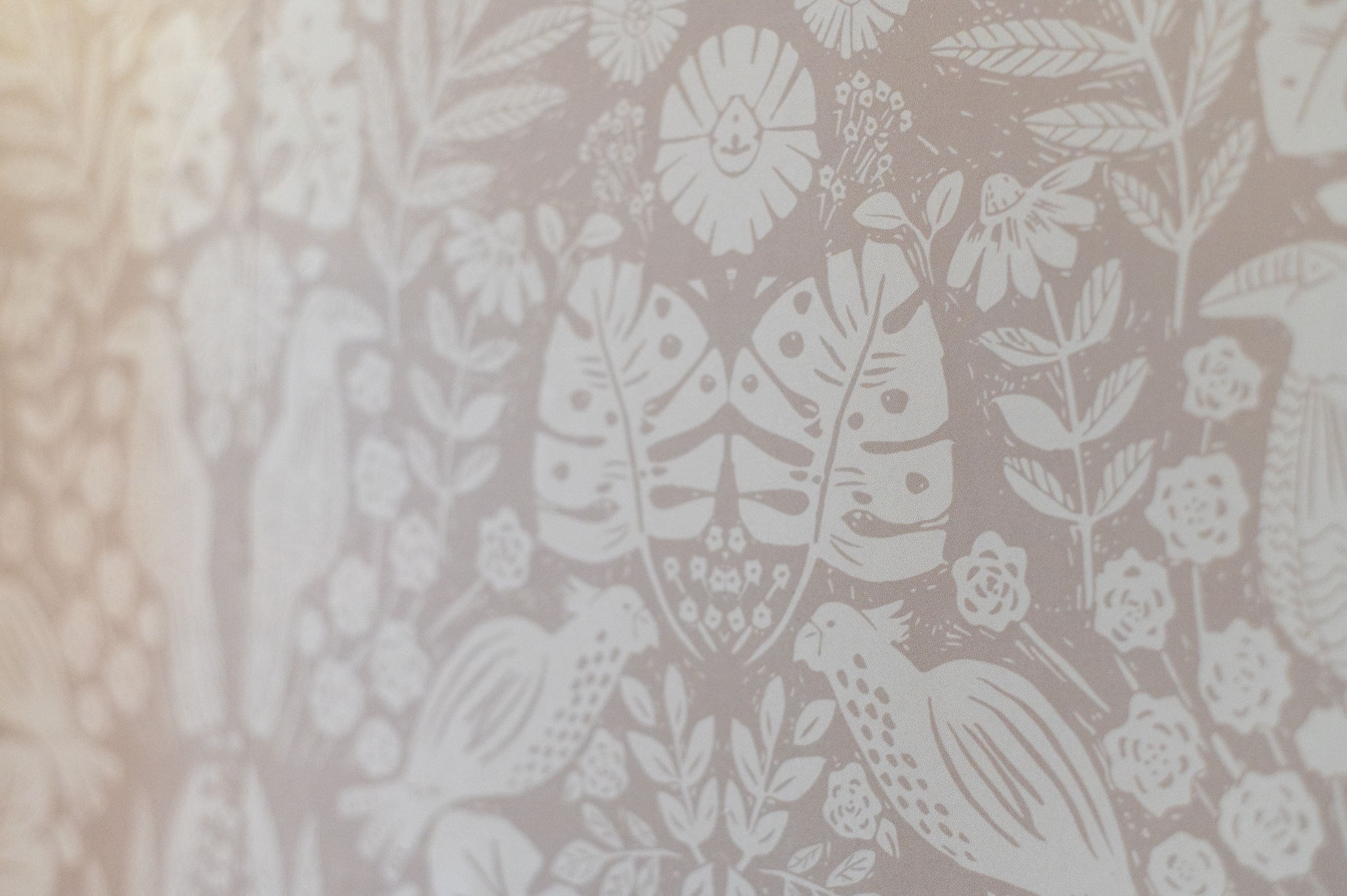 9 Glover St Unit 1, Salem, MA 01970 - Image 24