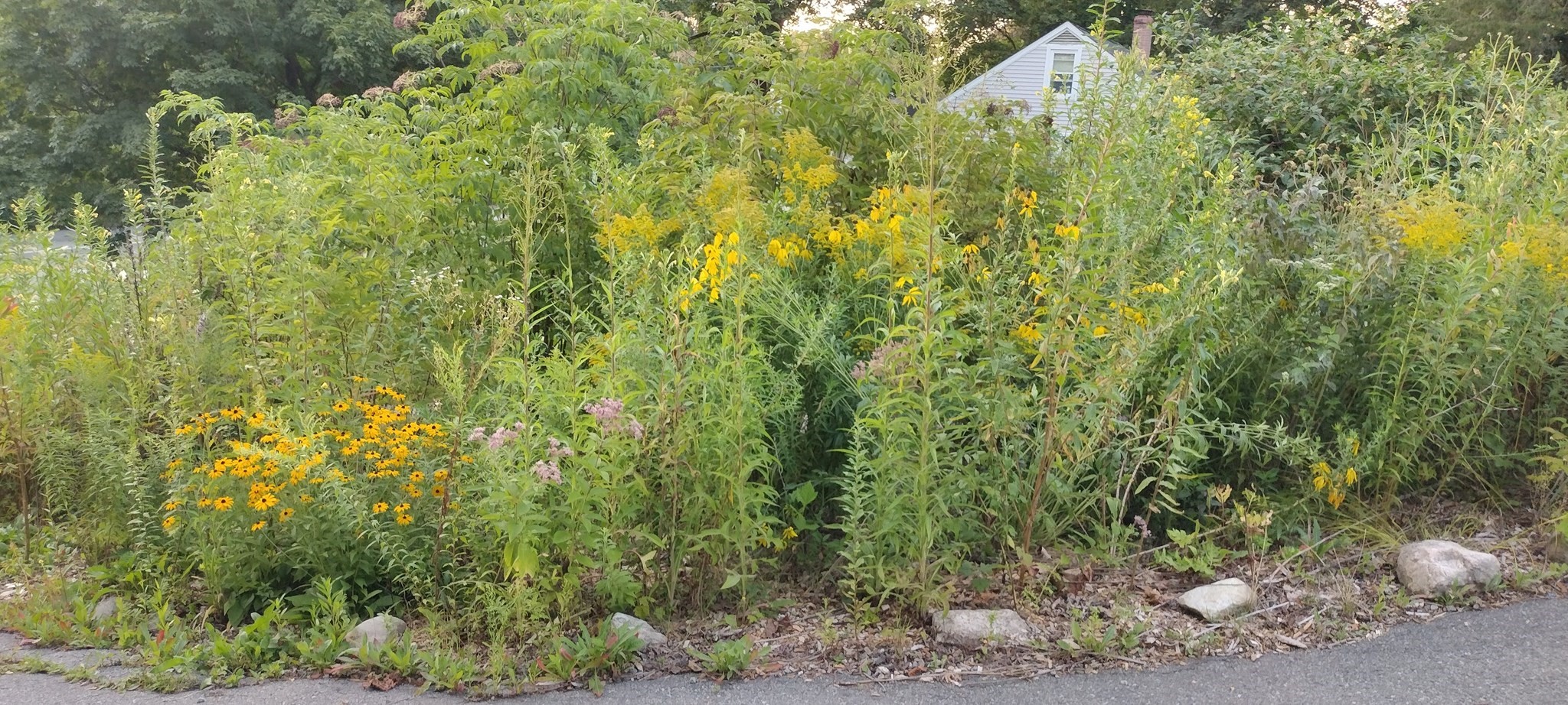 169 Main Street, Acton, MA 01720 - Image 37