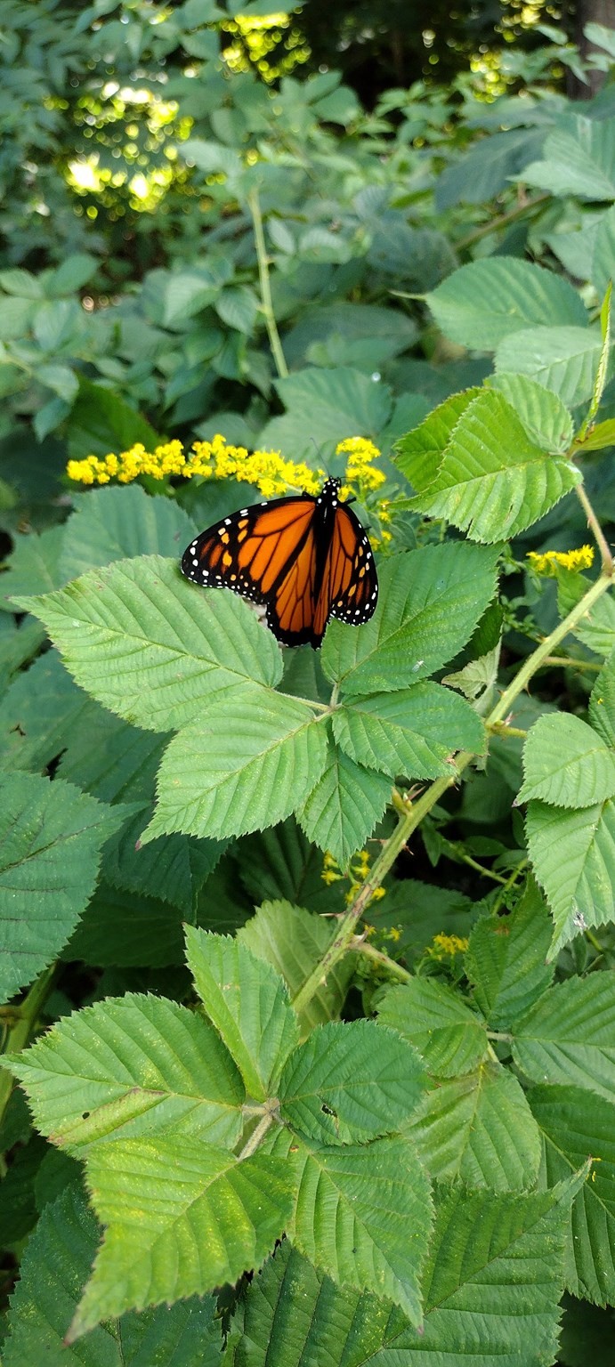 169 Main Street, Acton, MA 01720 - Image 38