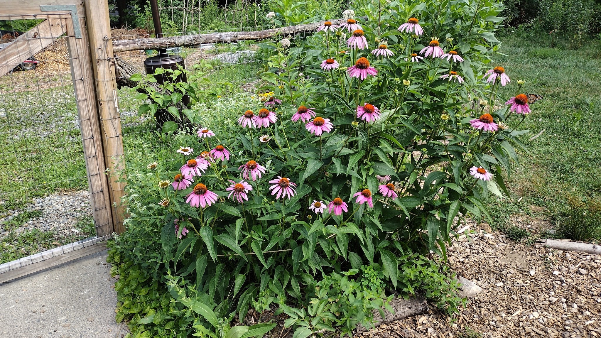 169 Main Street, Acton, MA 01720 - Image 39