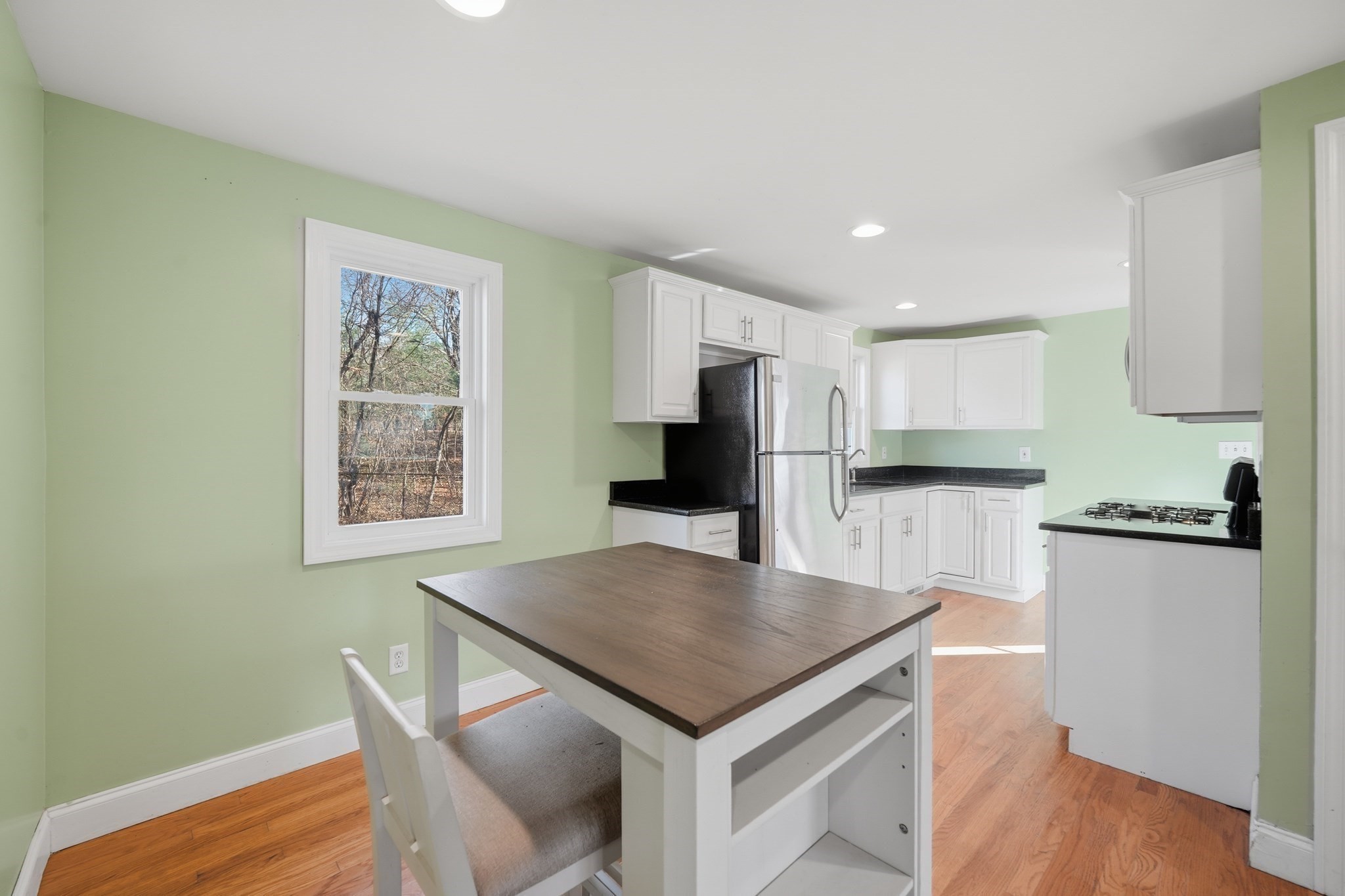 30 Lively Lane, Springfield, MA 01109 - Image 7