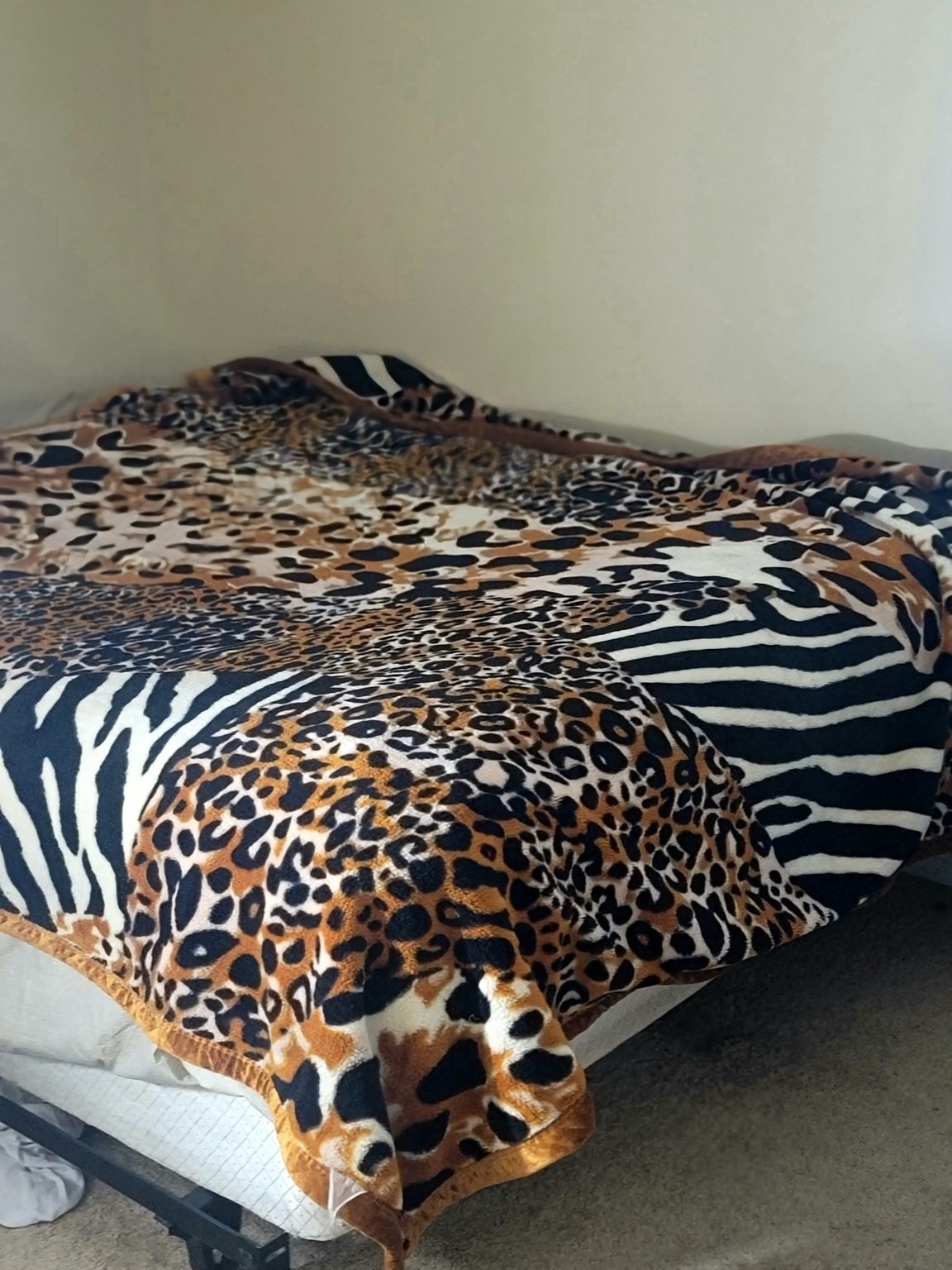 54 Shirley Ave, Lowell, MA 01854 - Image 11