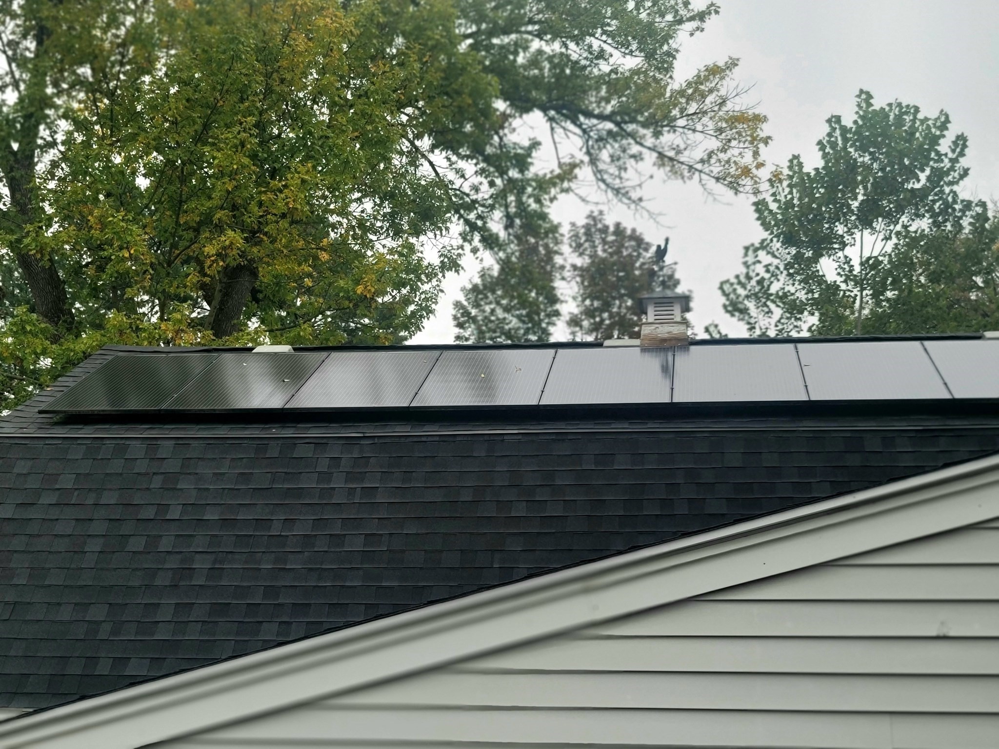 54 Shirley Ave, Lowell, MA 01854 - Image 3