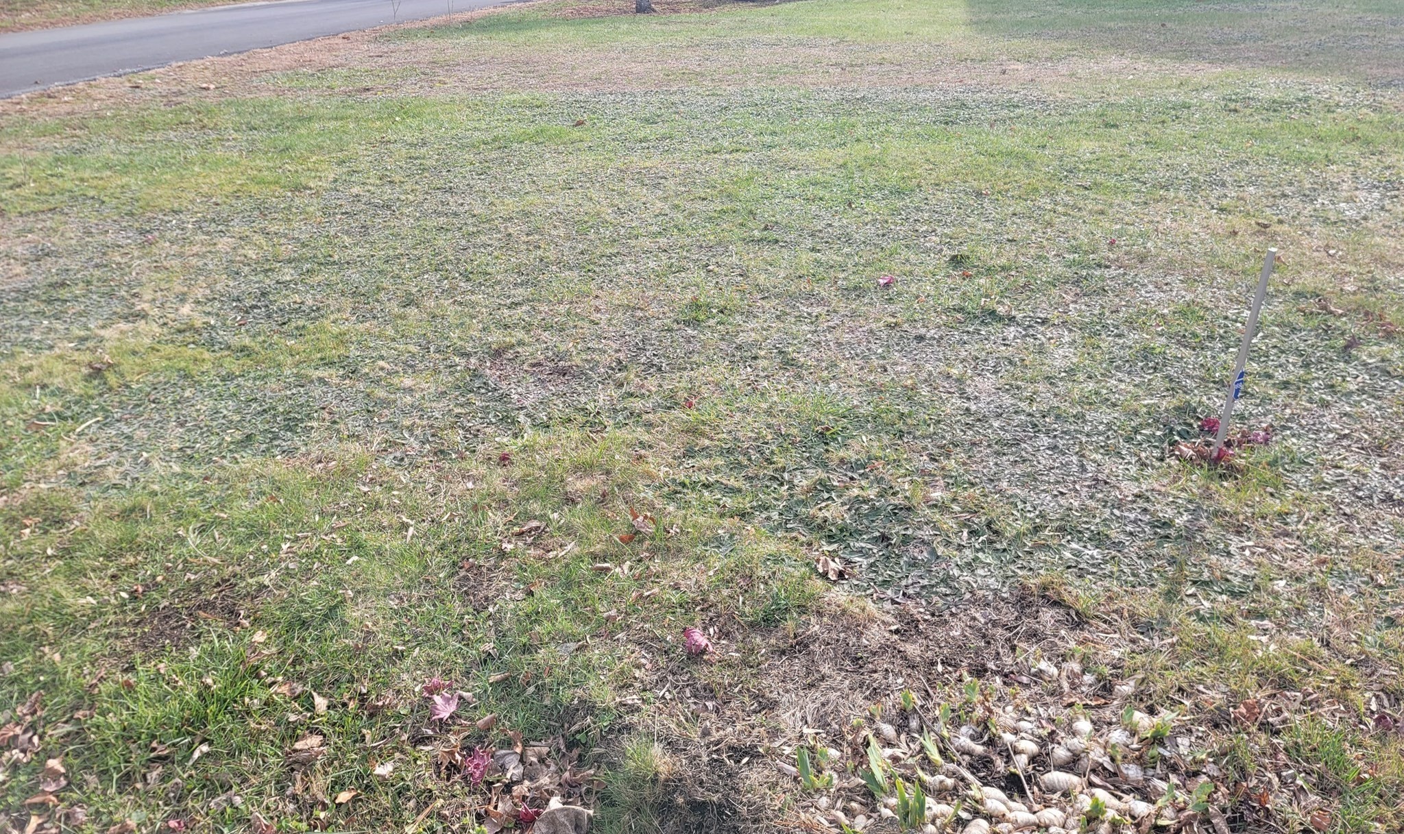 54 Shirley Ave, Lowell, MA 01854 - Image 24