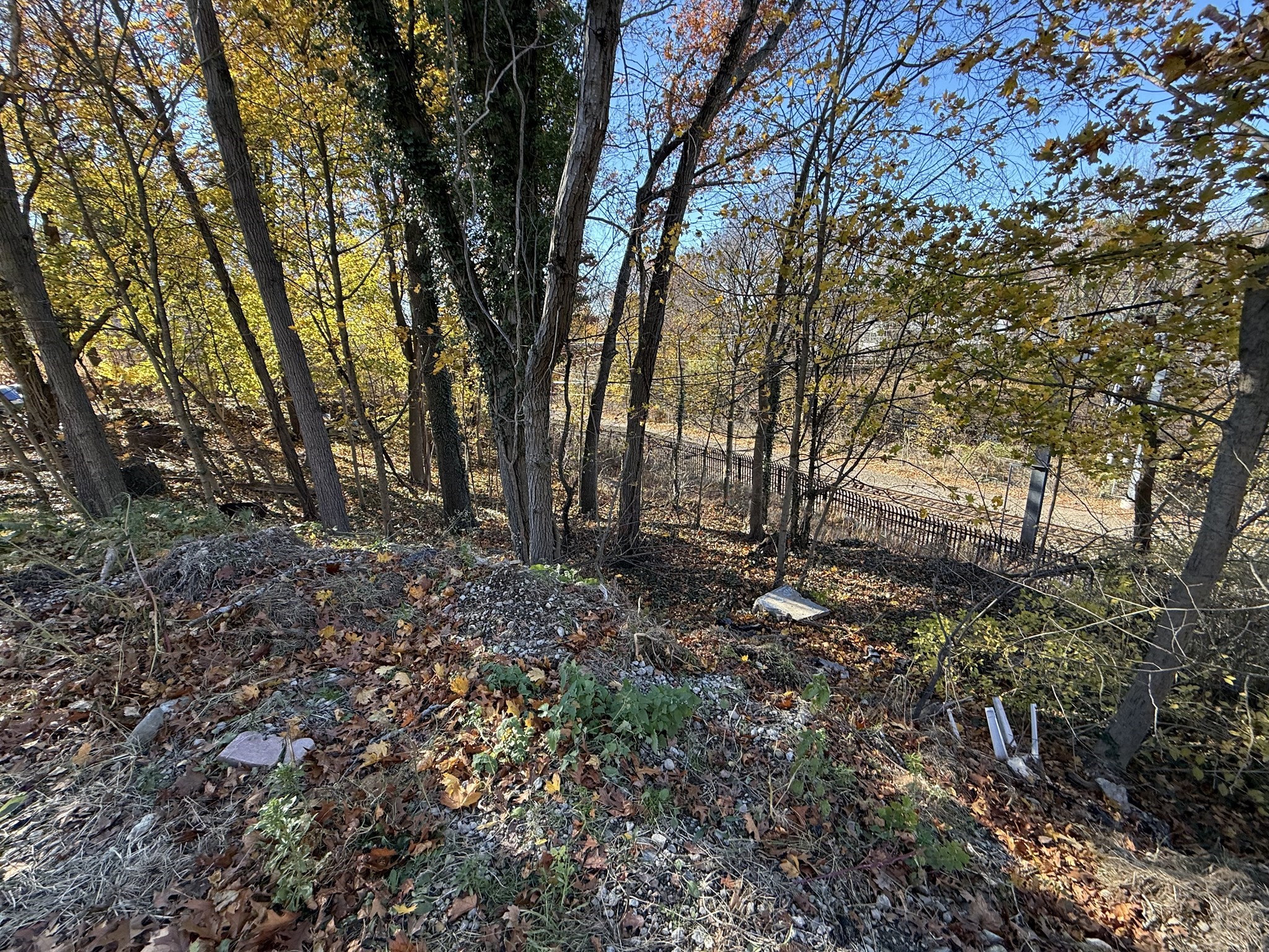 1139 Hyde Park Ave, Hyde Park, Boston, MA 02136 - Image 9