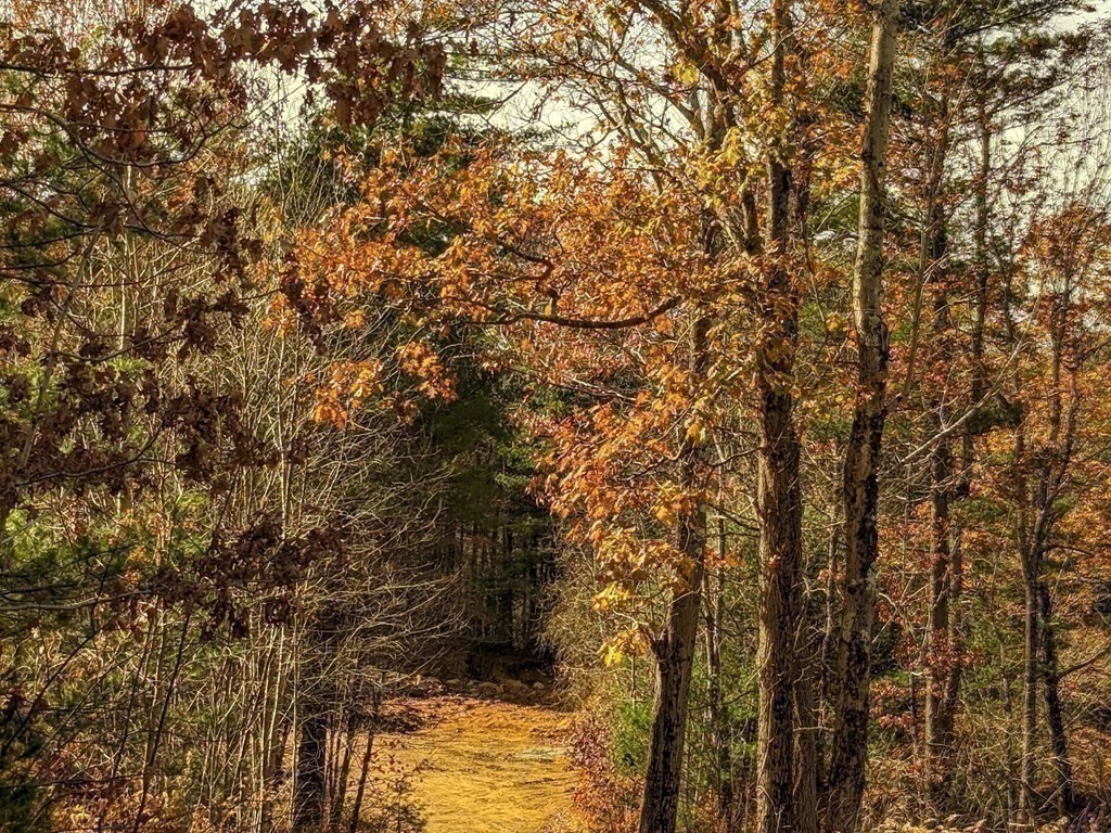 514 Old County Rd., Wales, MA 01081 - Image 29